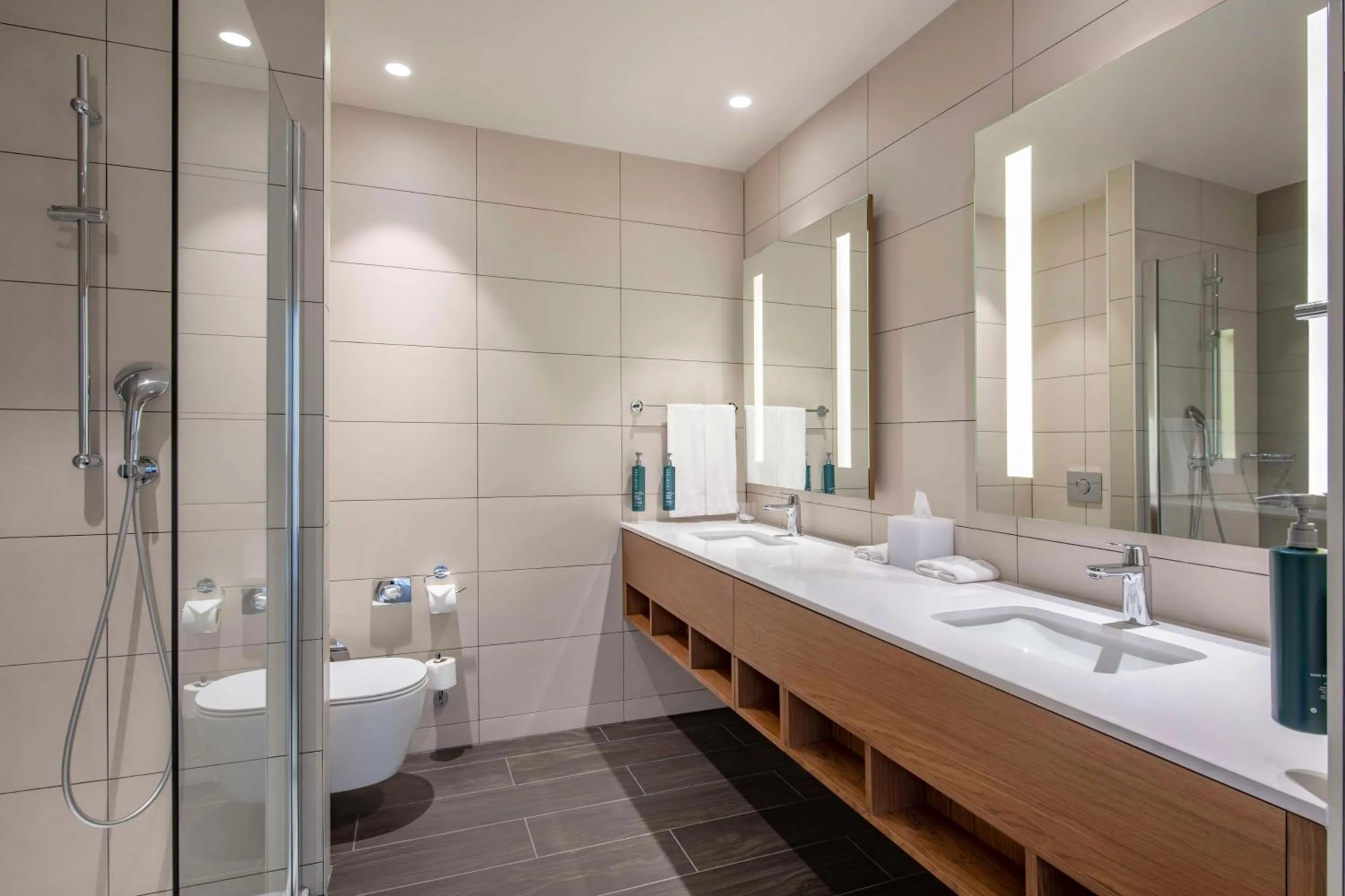 Bathroom in Hilton Garden Inn Tbilisi Chavchavadze