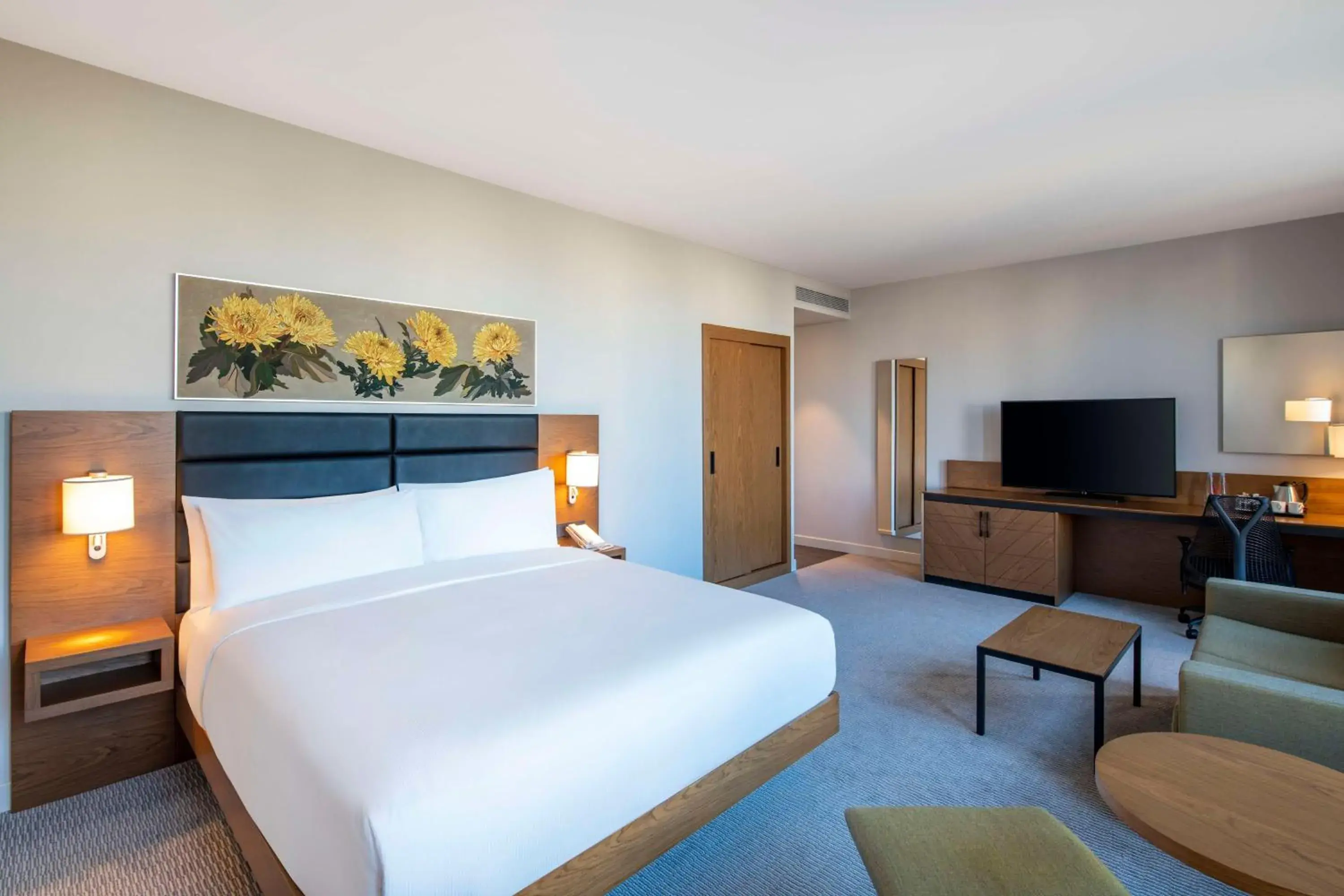 Junior Suite in Hilton Garden Inn Tbilisi Chavchavadze Junior Suite in Hilton Garden Inn Tbilisi Chavchavadze