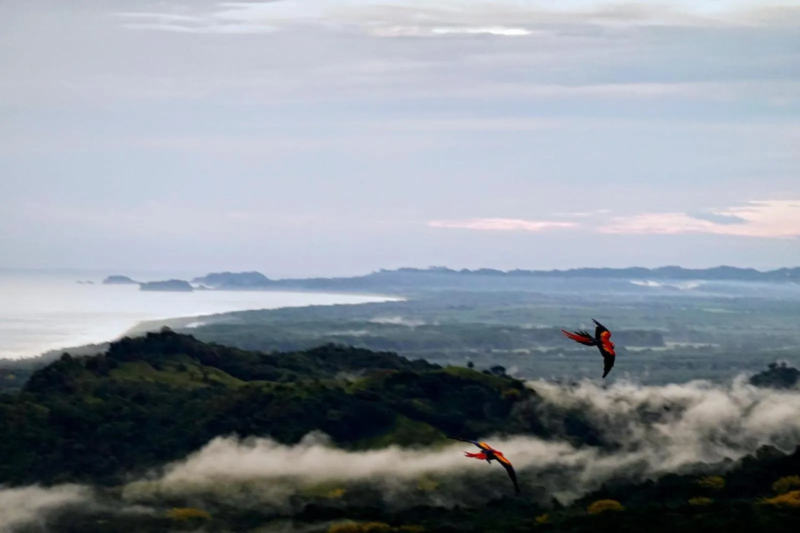 View (from property/room) in Lapazul Boutique Hotel