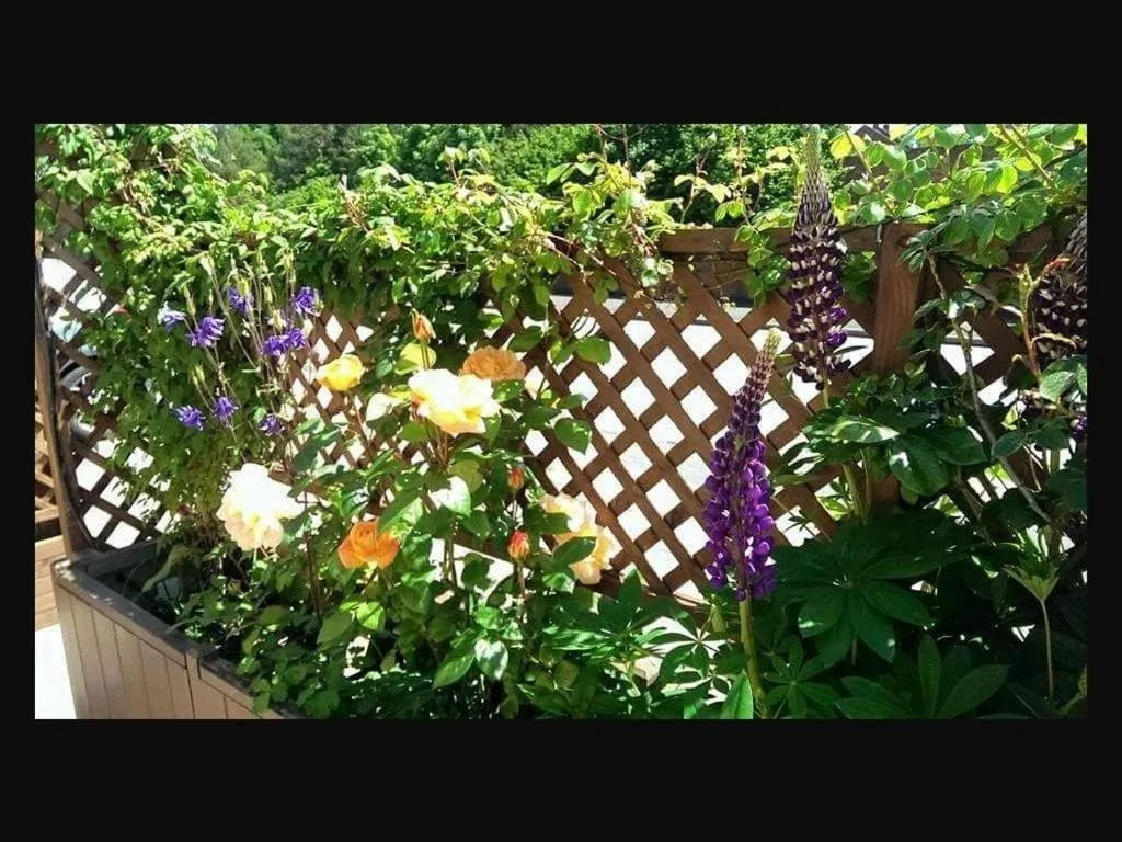 Property building in The Old Bell