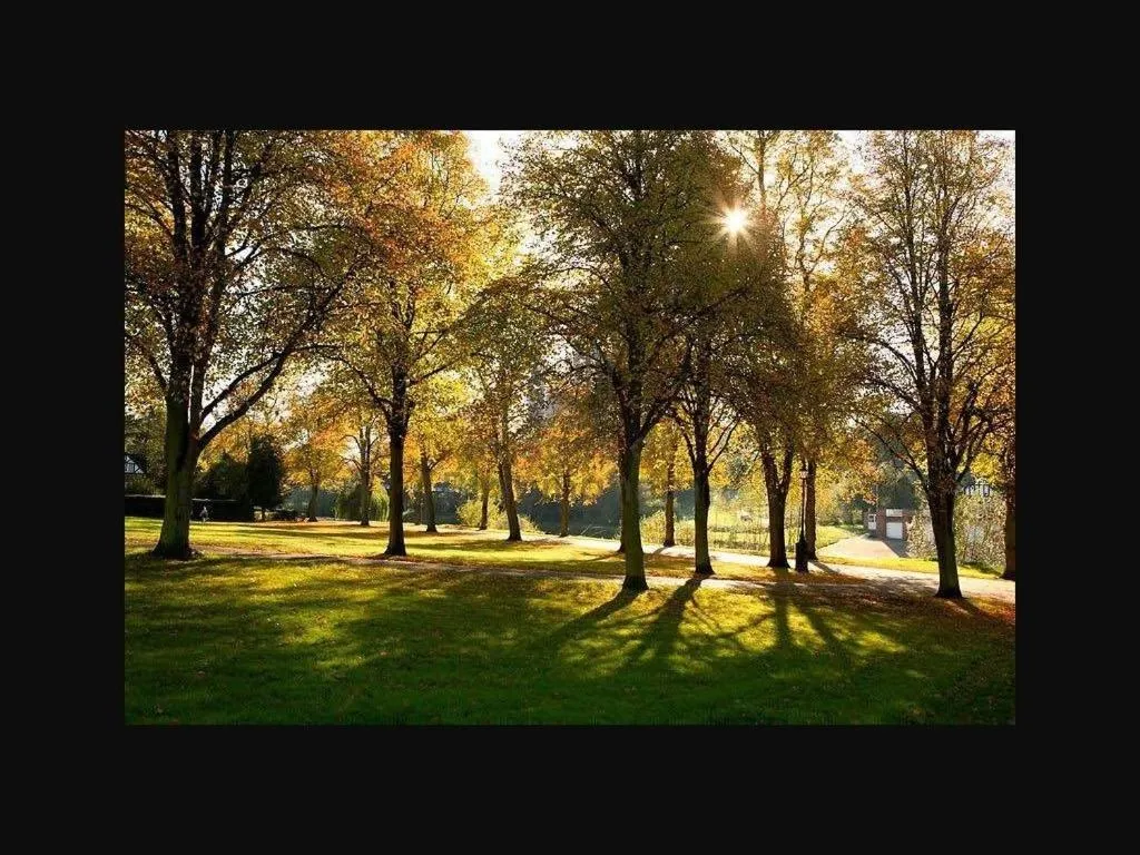 View (from property/room) in The Old Bell