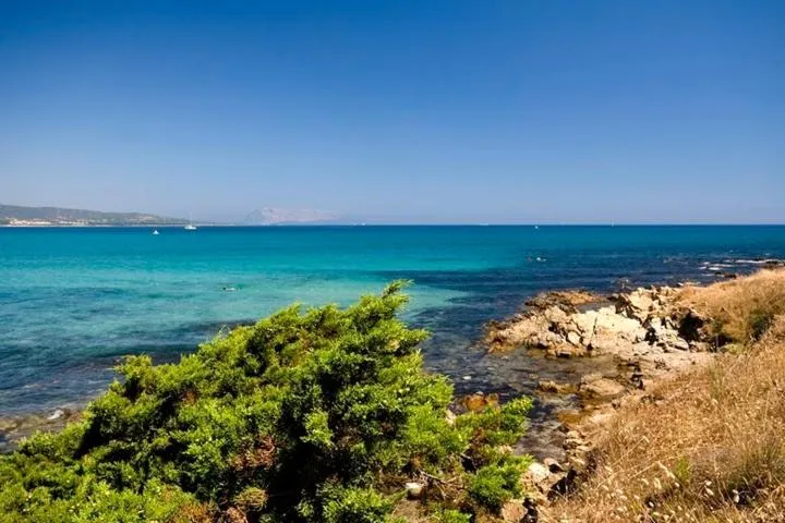 Beach in Appartamenti Tanaunella