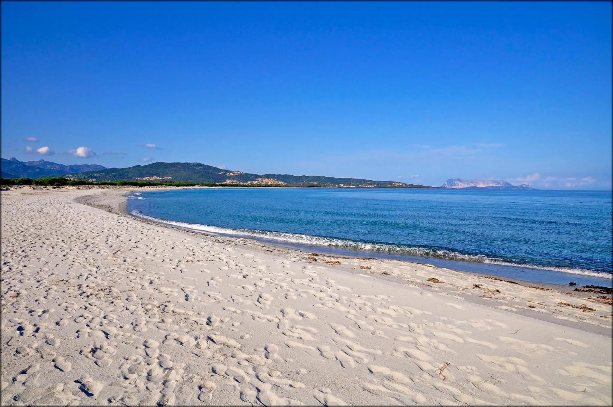 Beach in Appartamenti Le Magnolie