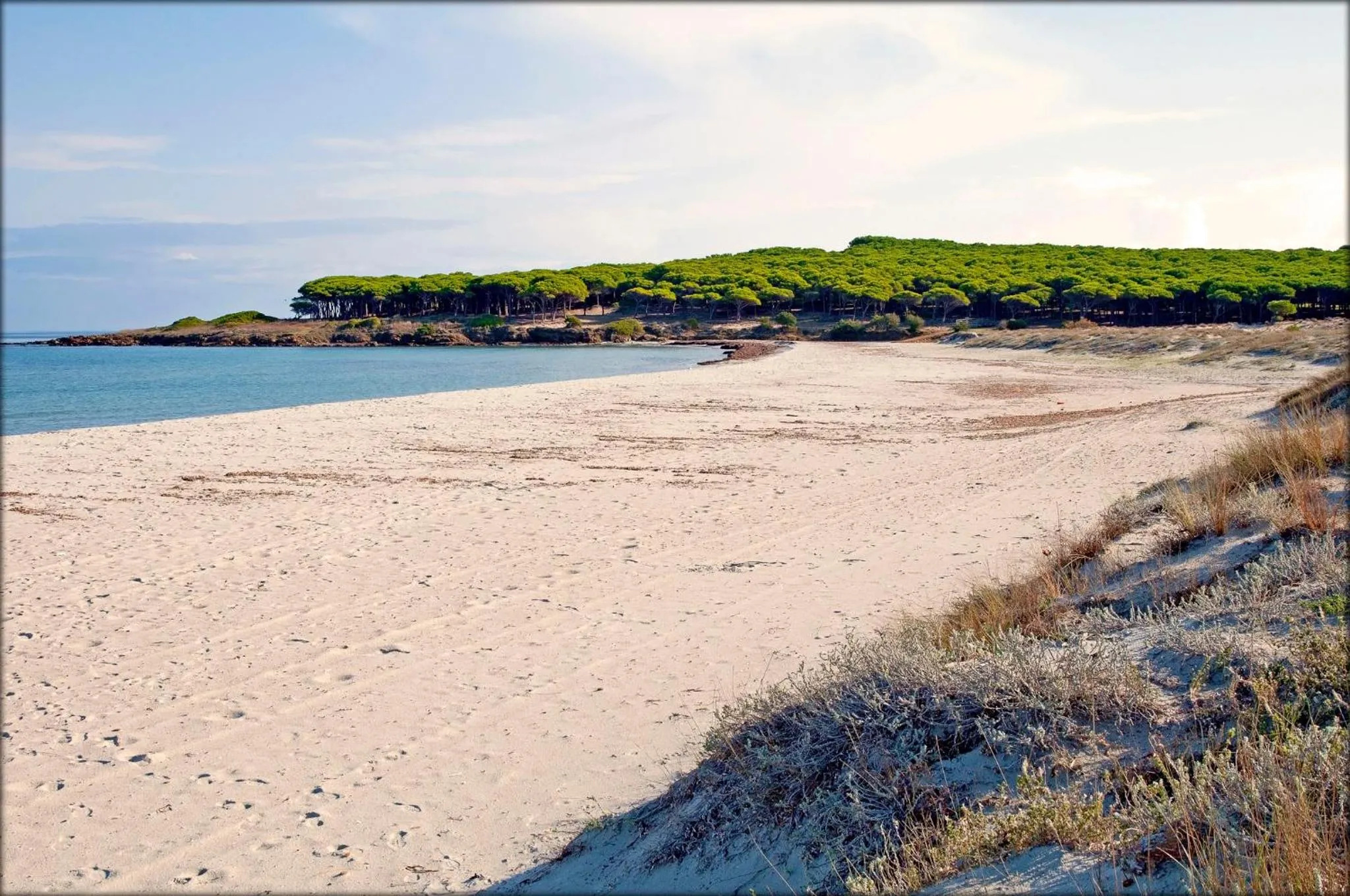 Beach in Appartamenti Le Magnolie