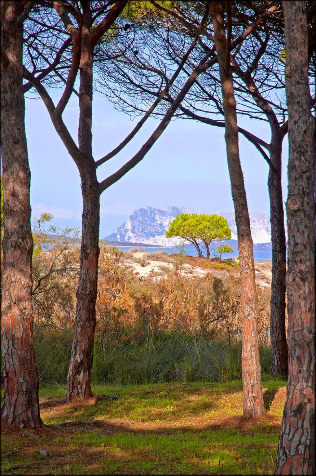 Natural landscape in Appartamenti Le Magnolie