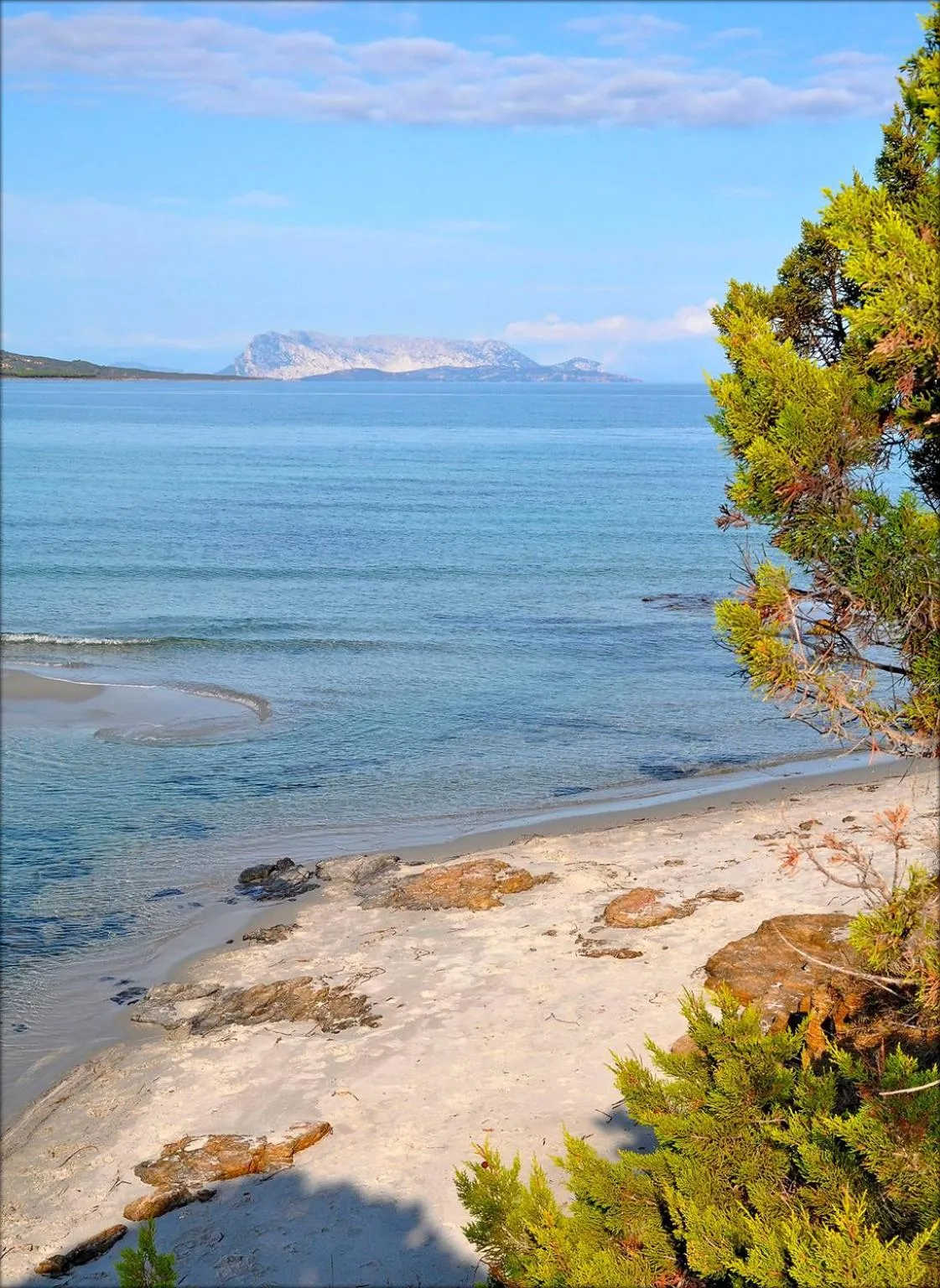Natural landscape in Appartamenti Le Magnolie