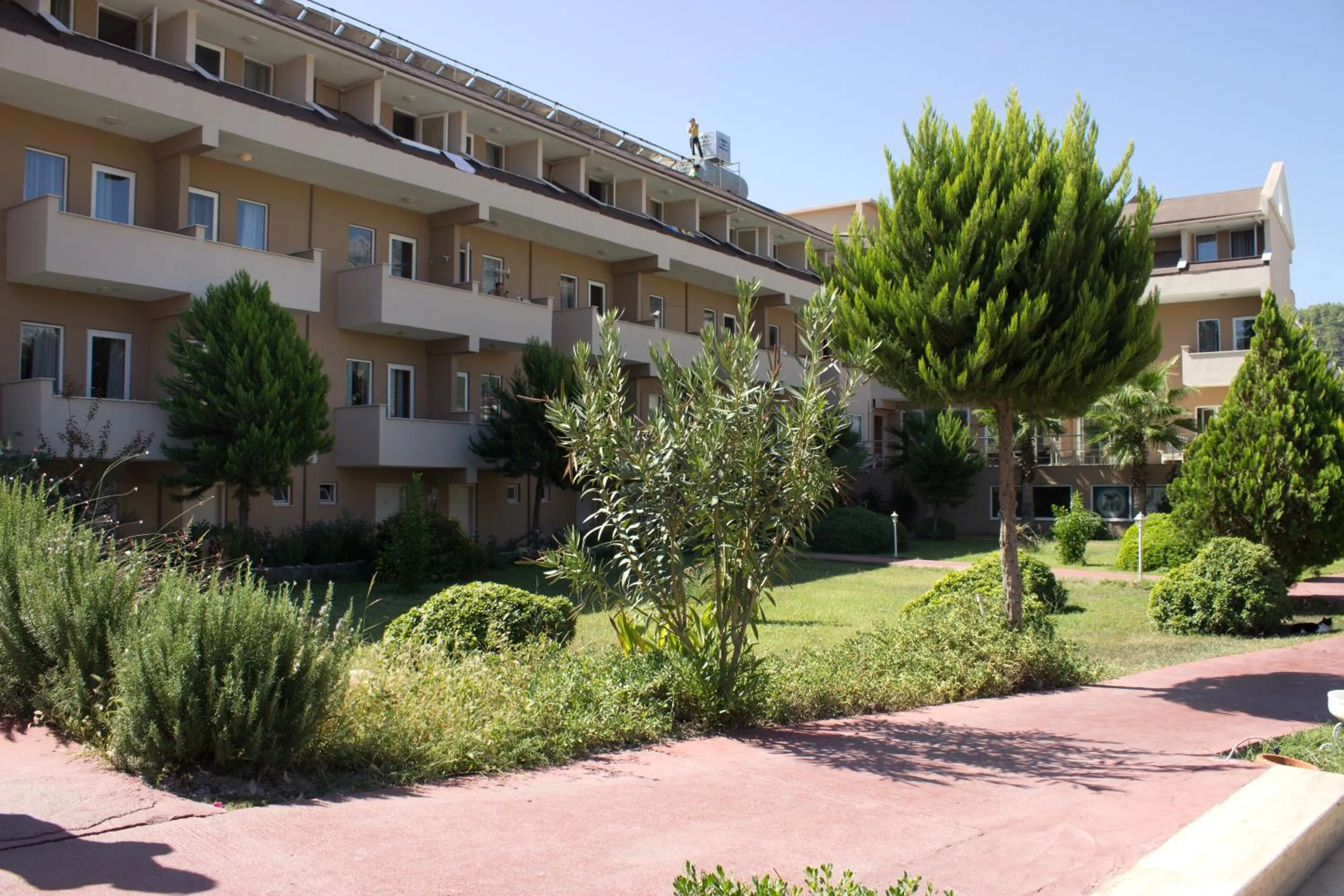 Garden in Ares Dream Hotel