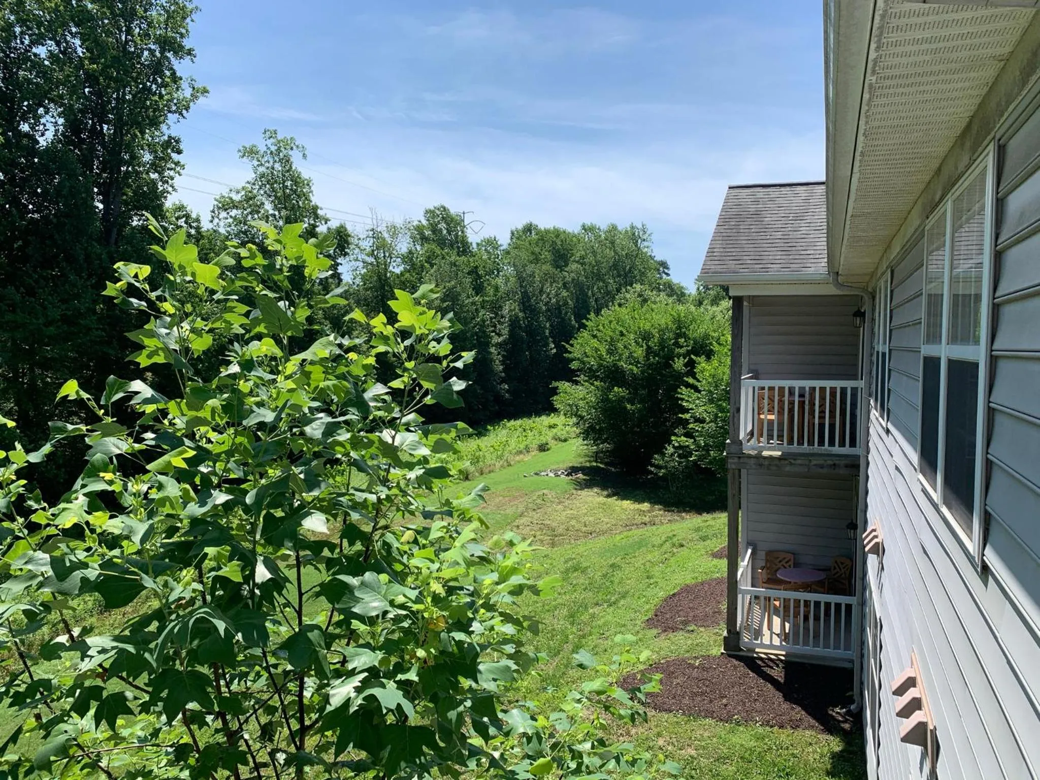 View (from property/room) in The Colonies at Williamsburg