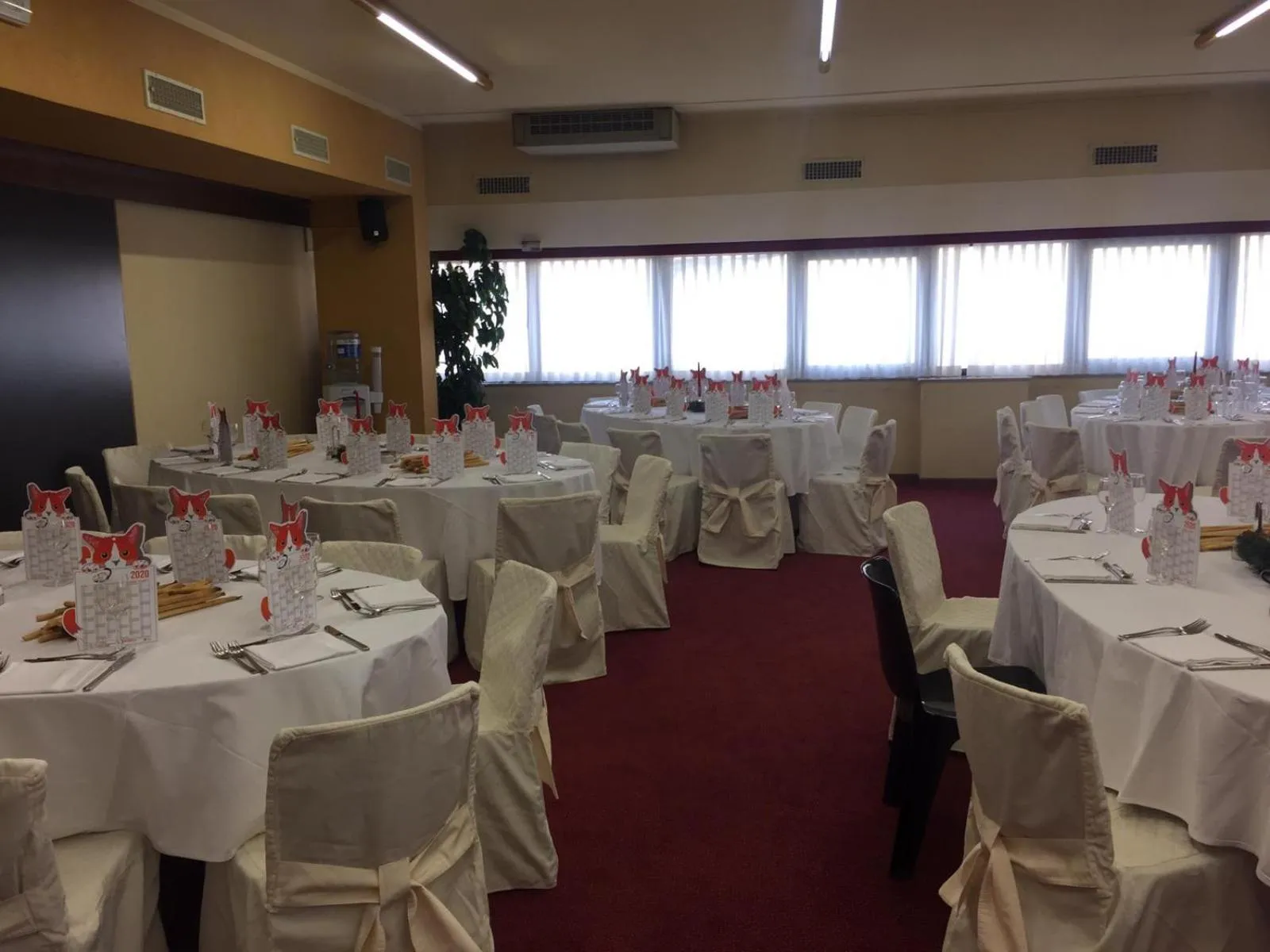 Evening entertainment in Modo Hotel