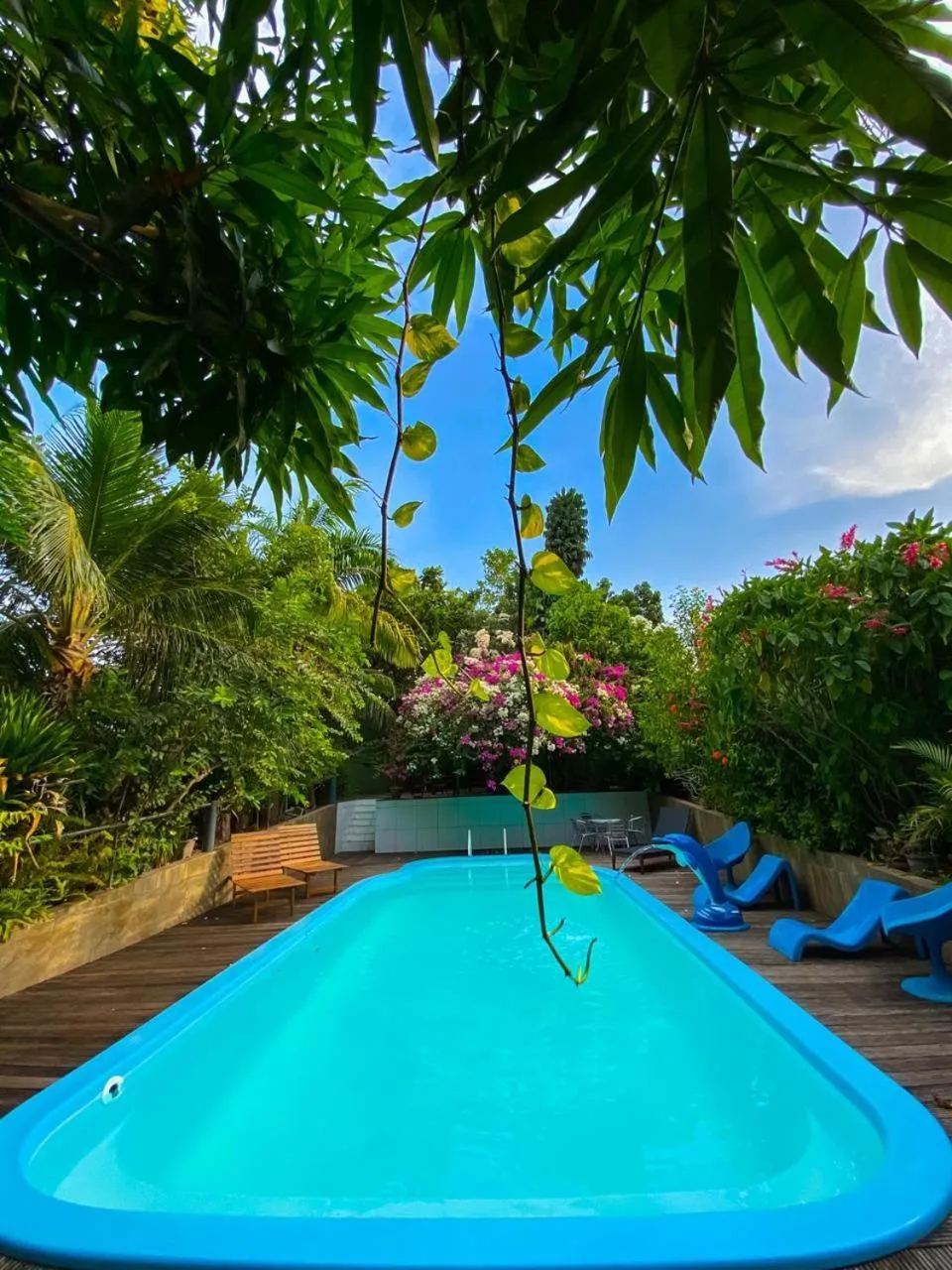 Hotel Borari