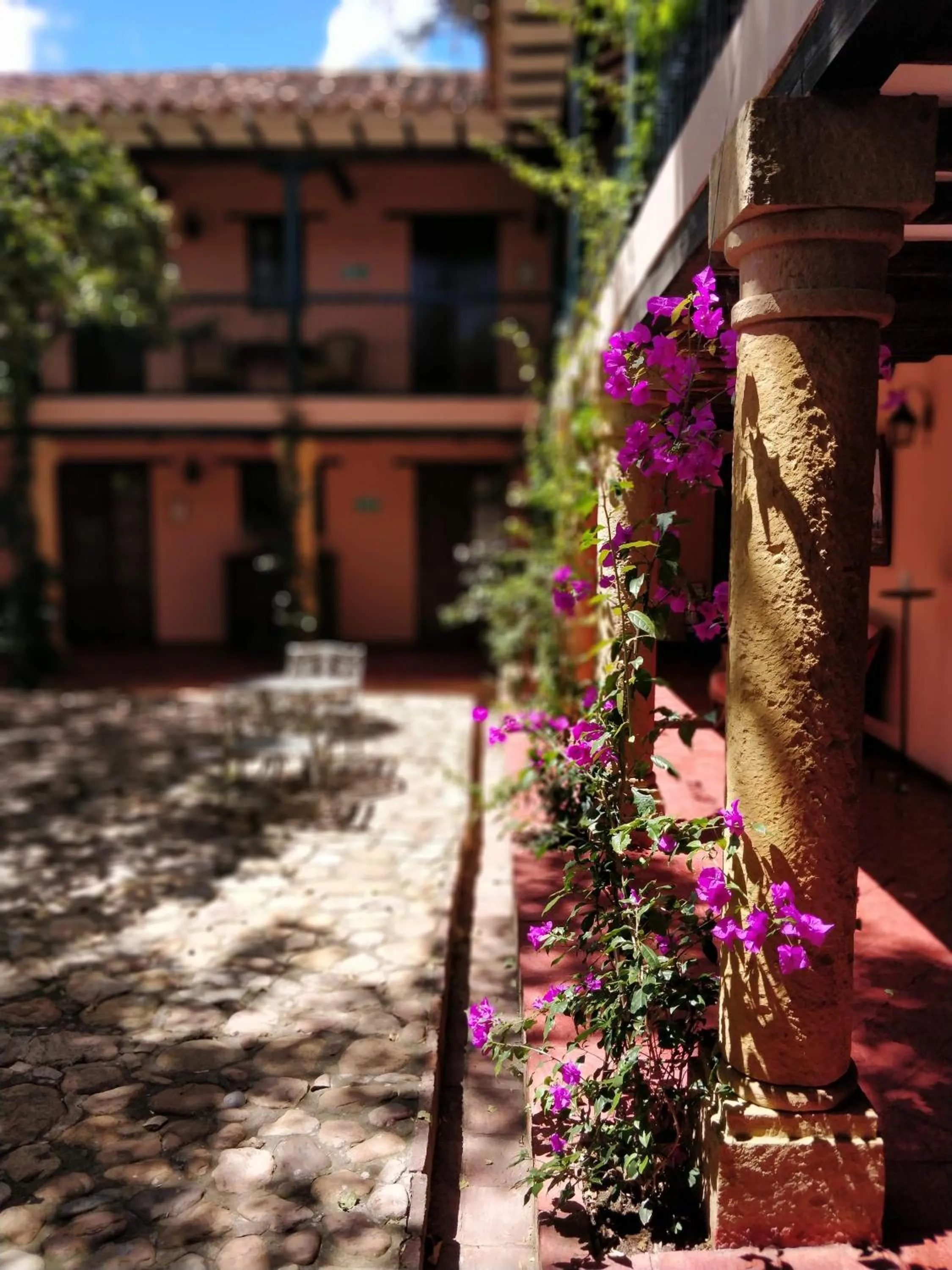 Garden in Hotel Plazuela de San Agustín - PSA Hotel