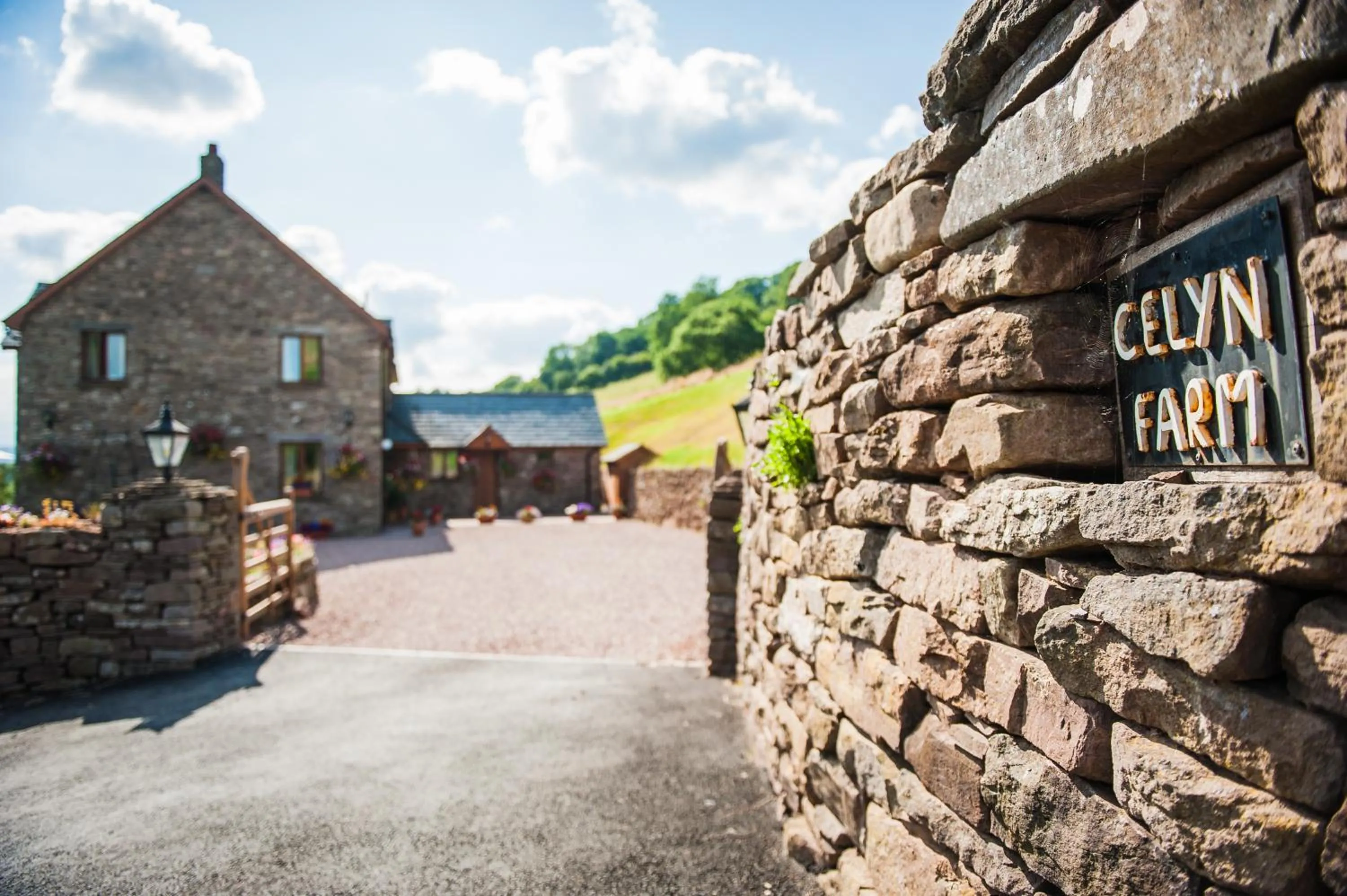 Facade/entrance in The Celyn