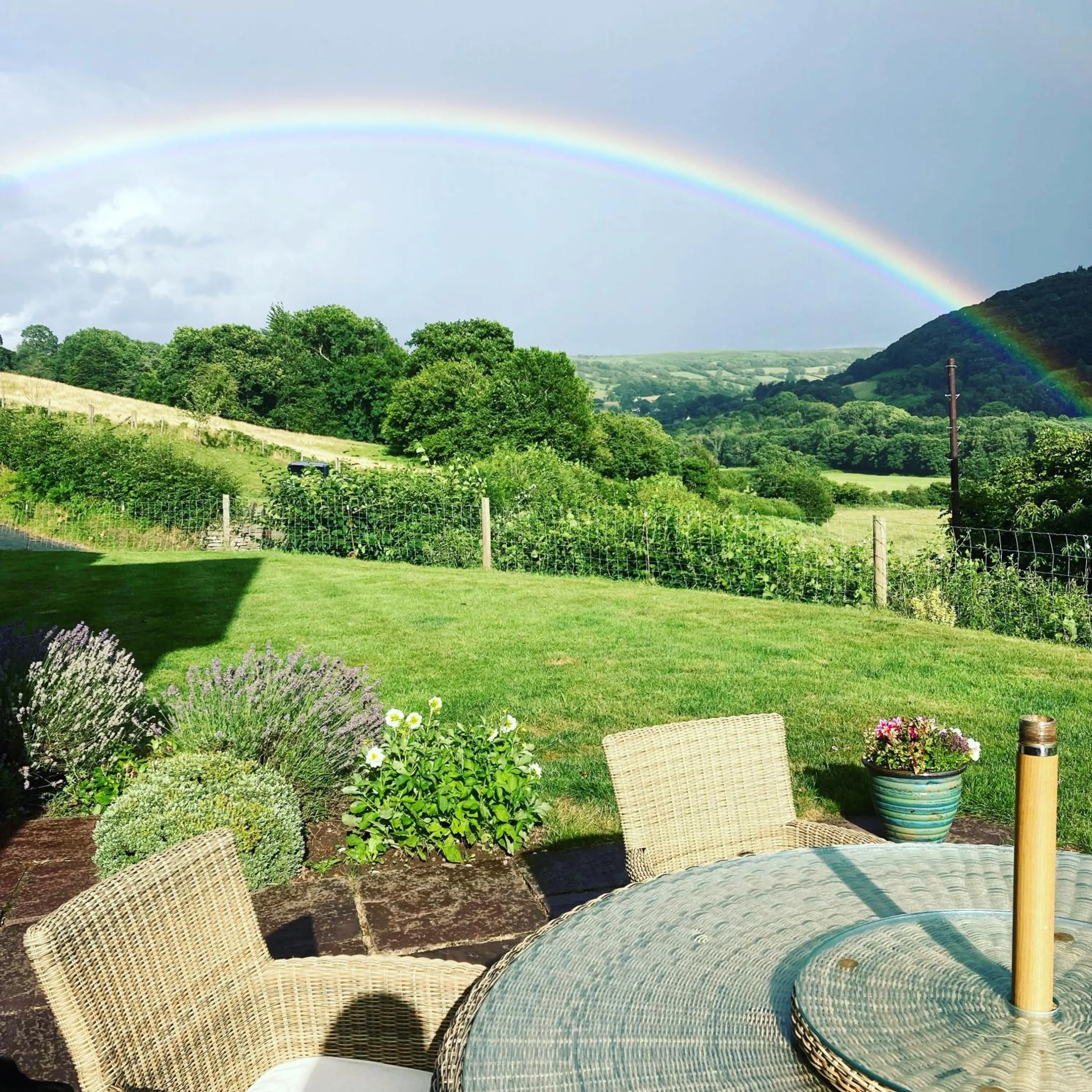 Garden view in The Celyn