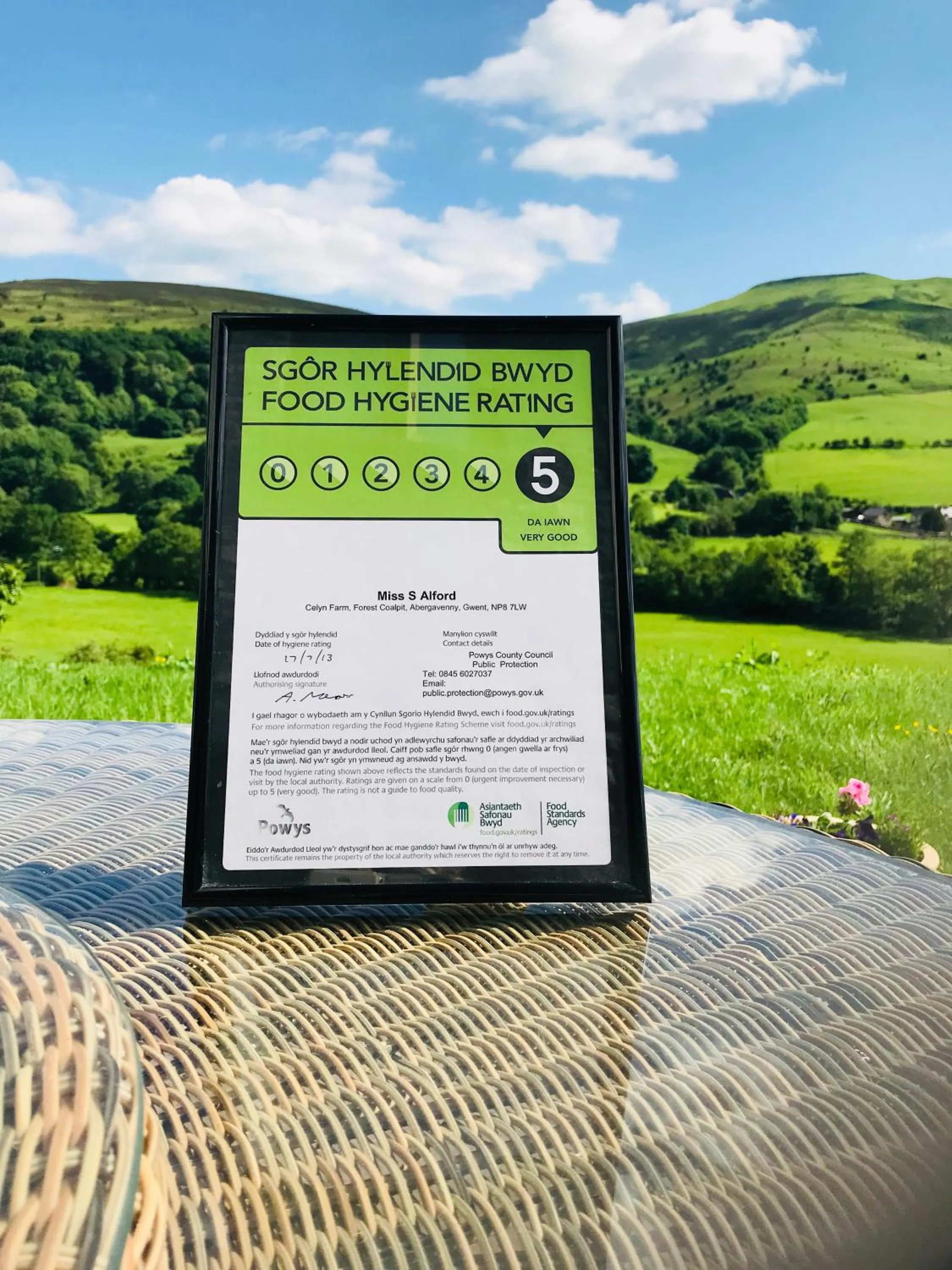 Property logo or sign in The Celyn