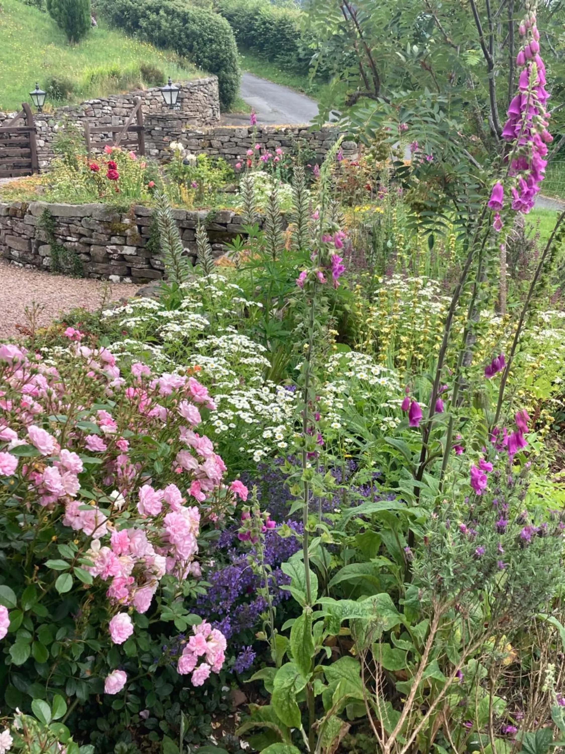 Garden in The Celyn