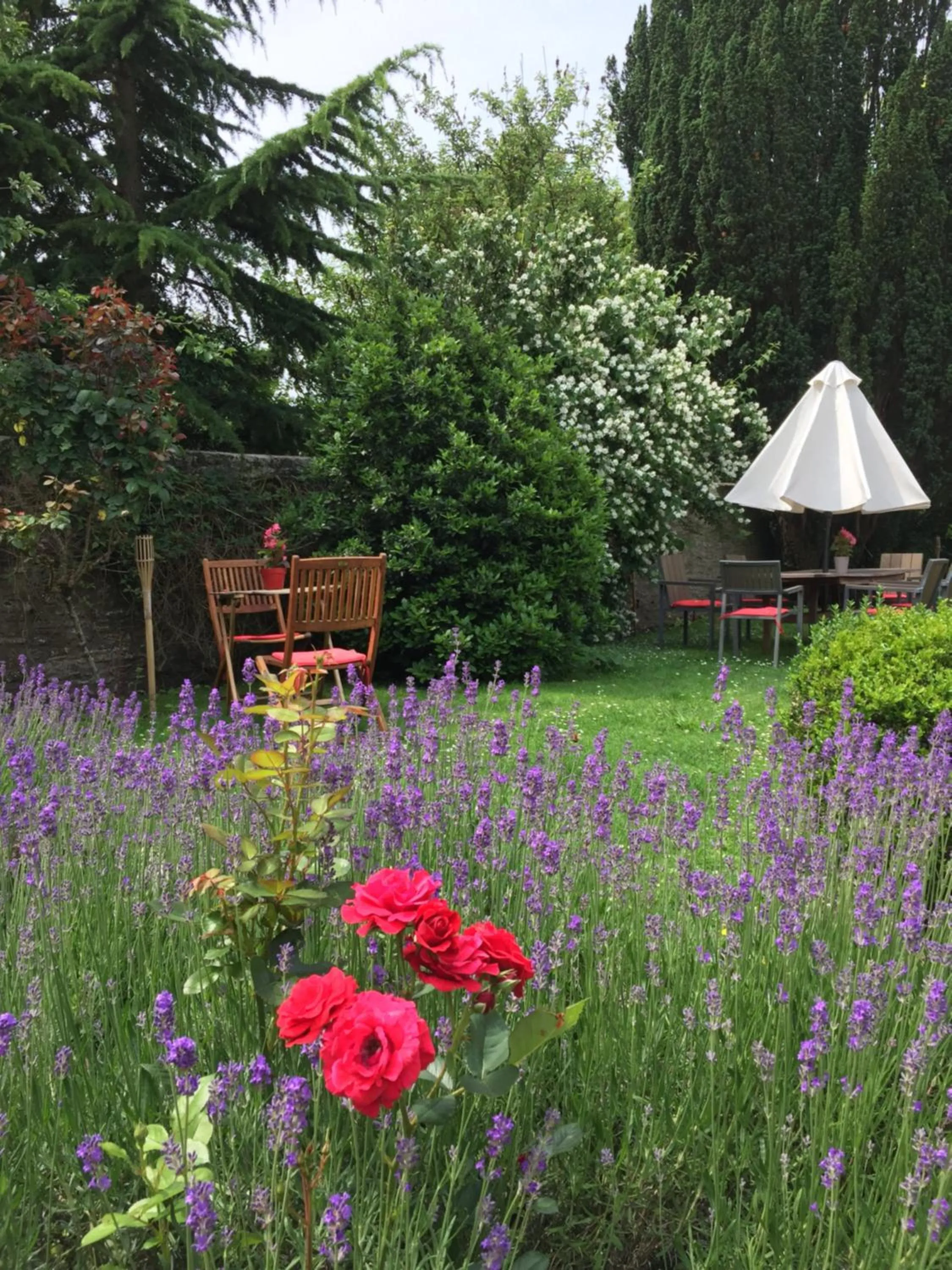 Garden in Hotel L'Aunette Cottage