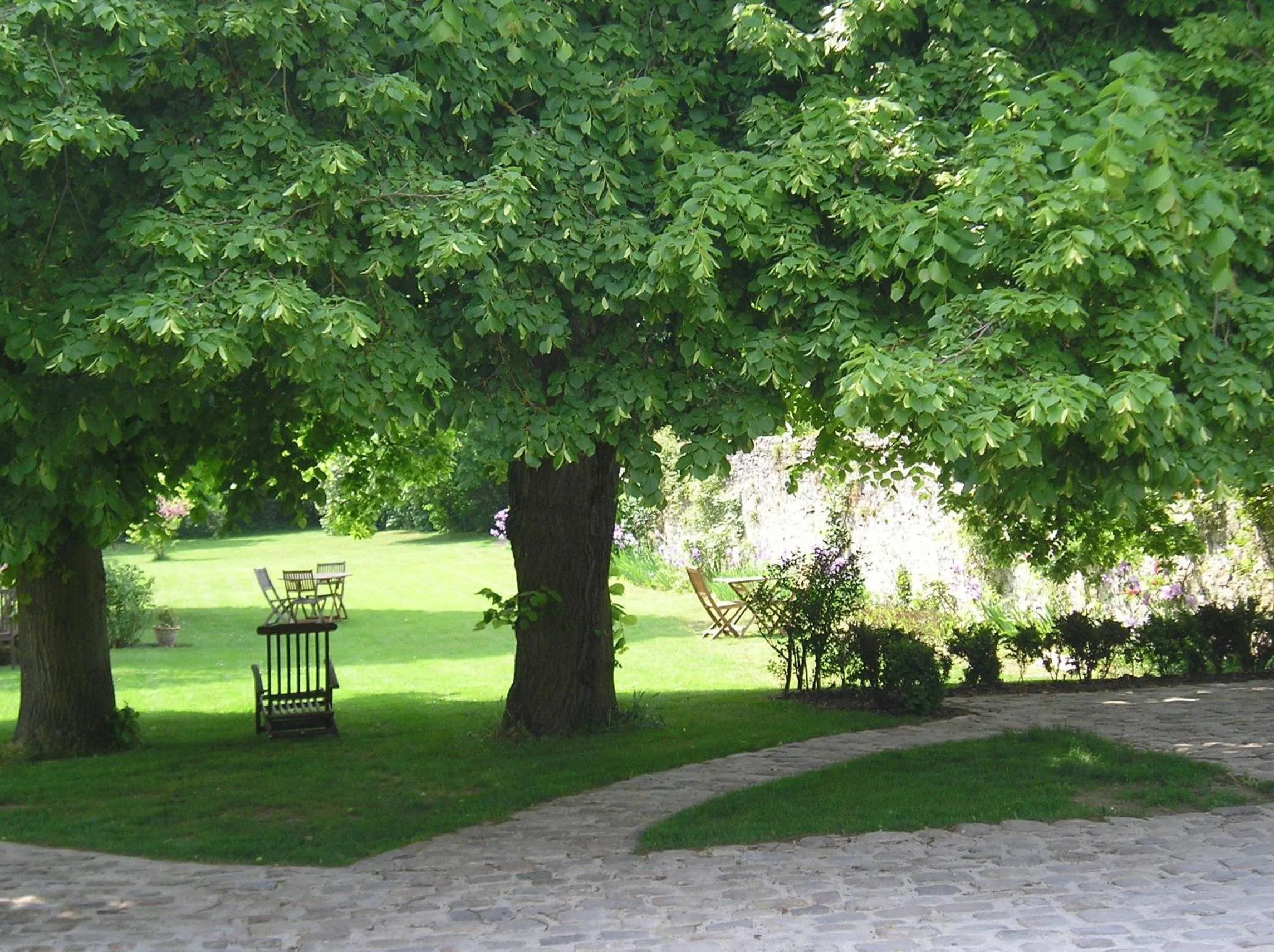 Garden in Hotel L'Aunette Cottage