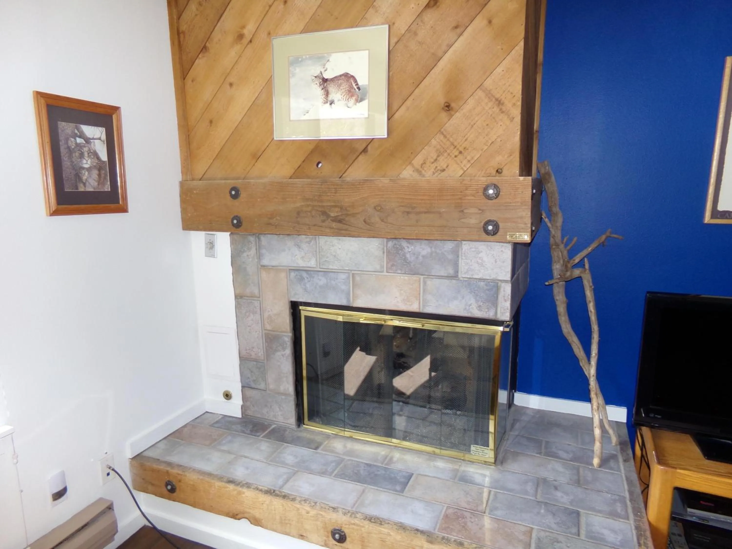 fireplace in Edgewater Studio 1 Bath EWJP
