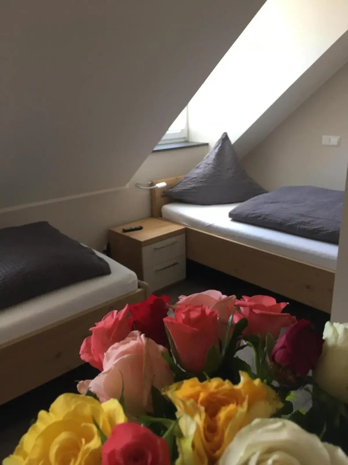 Standard Twin Room - single occupancy in Haus am Parc Standard Twin Room - single occupancy in Haus am Parc