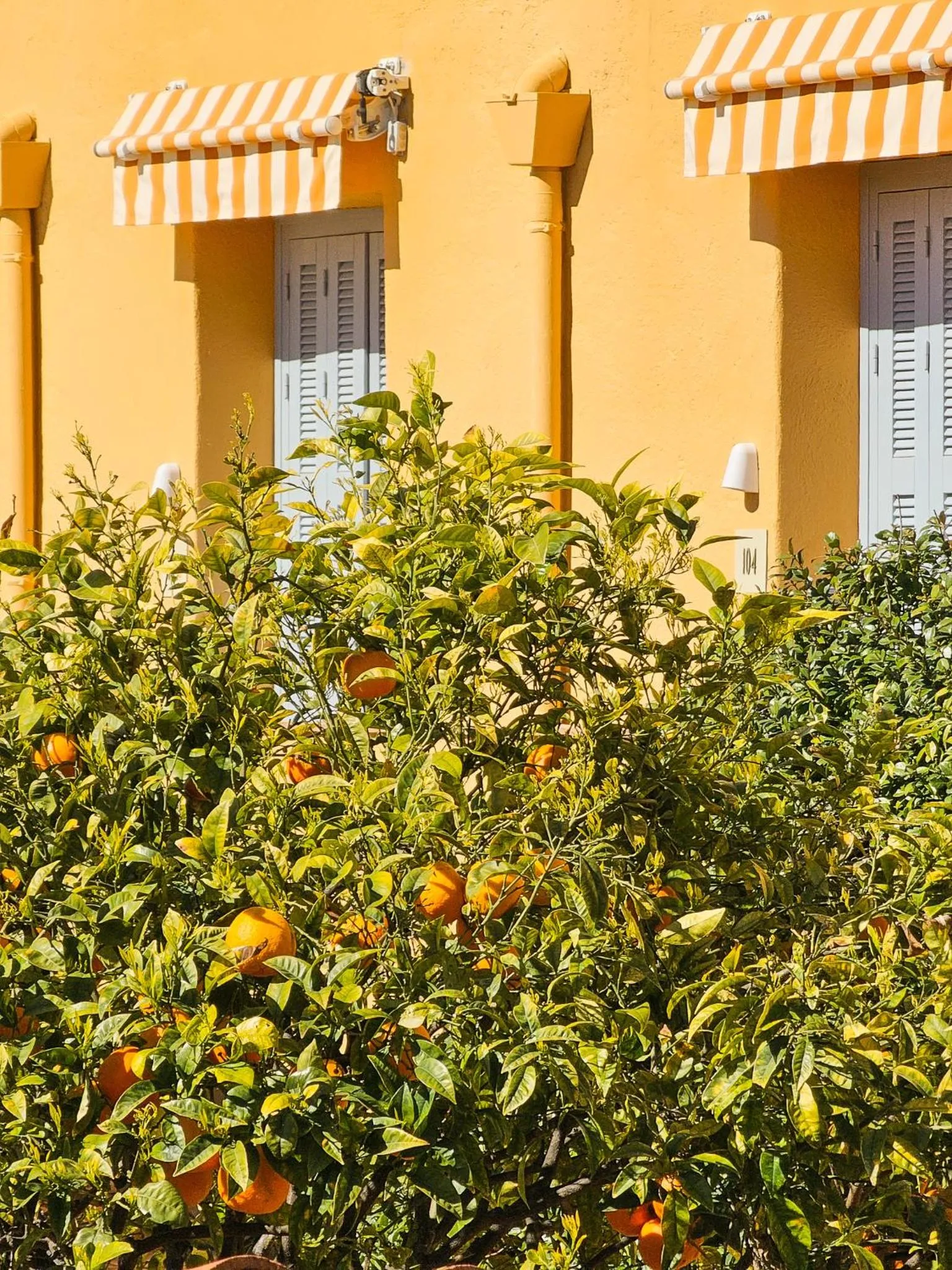 Hôtel La Pérouse Nice Baie des Anges