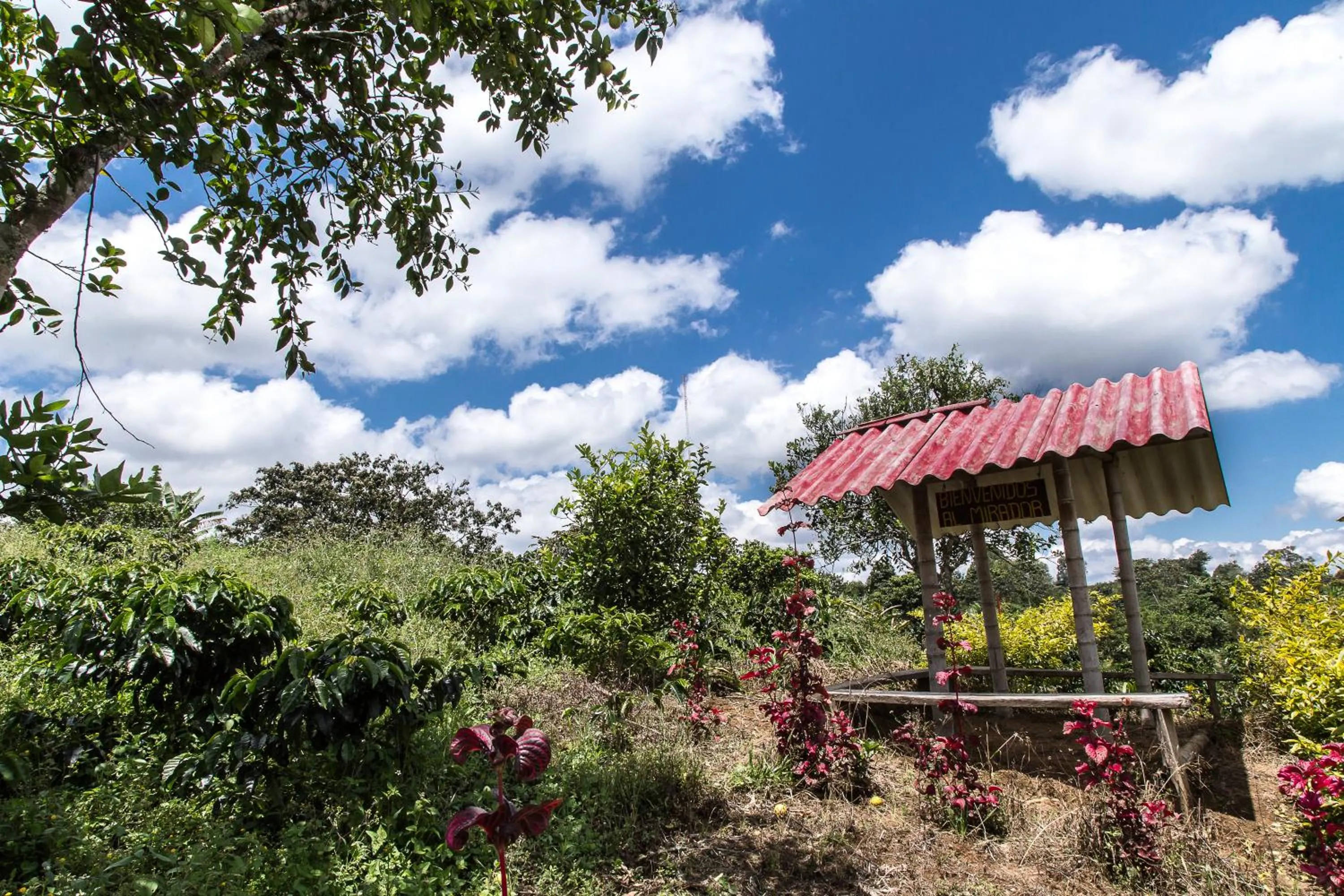 Agroparque Las Villas
