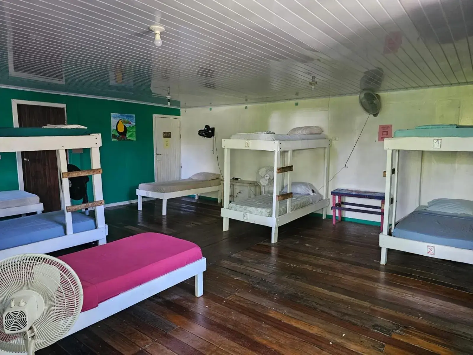 Bunk Bed in Mixed Dormitory Room in Cabinas Tortuguero Bunk Bed in Mixed Dormitory Room in Cabinas Tortuguero