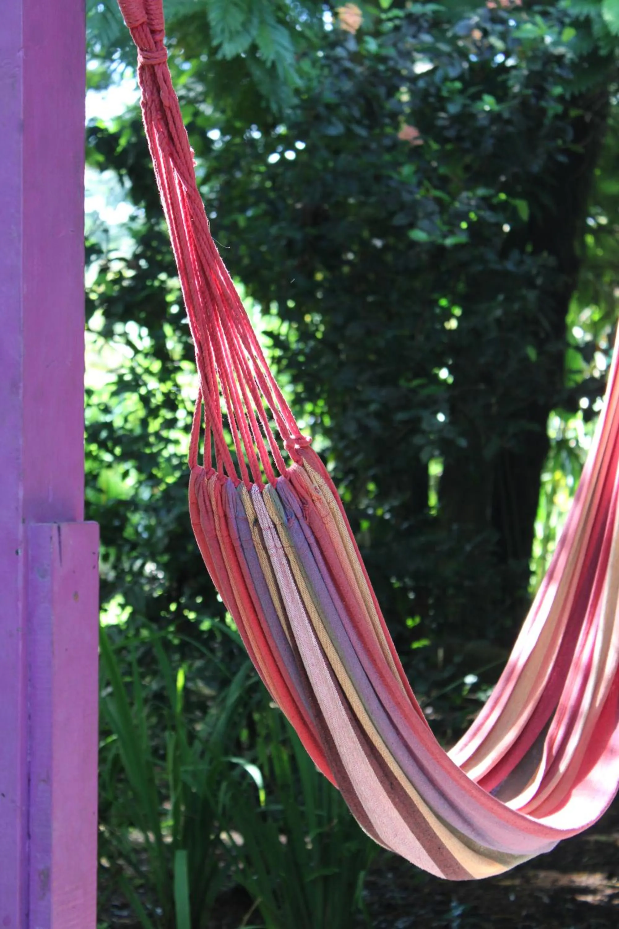 Garden in Cabinas Tortuguero