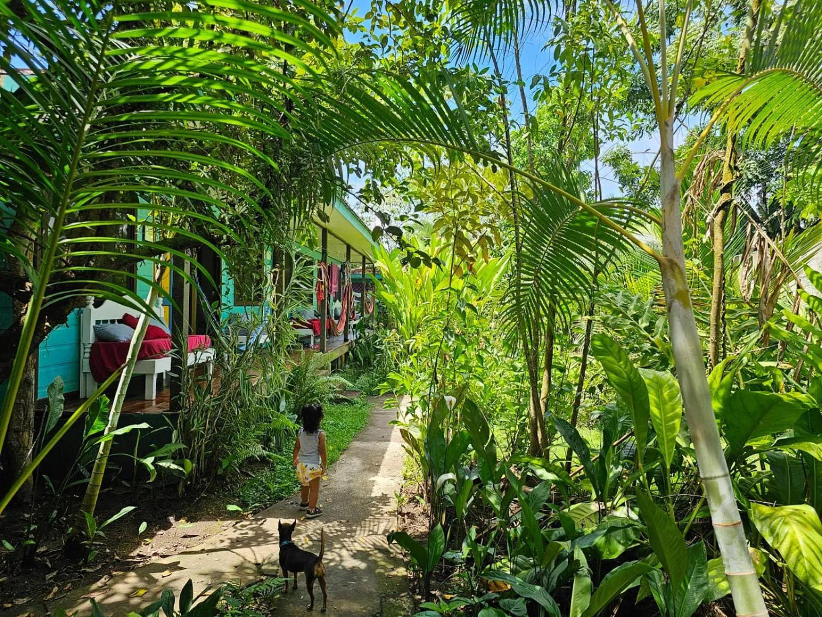 Garden view in Cabinas Tortuguero
