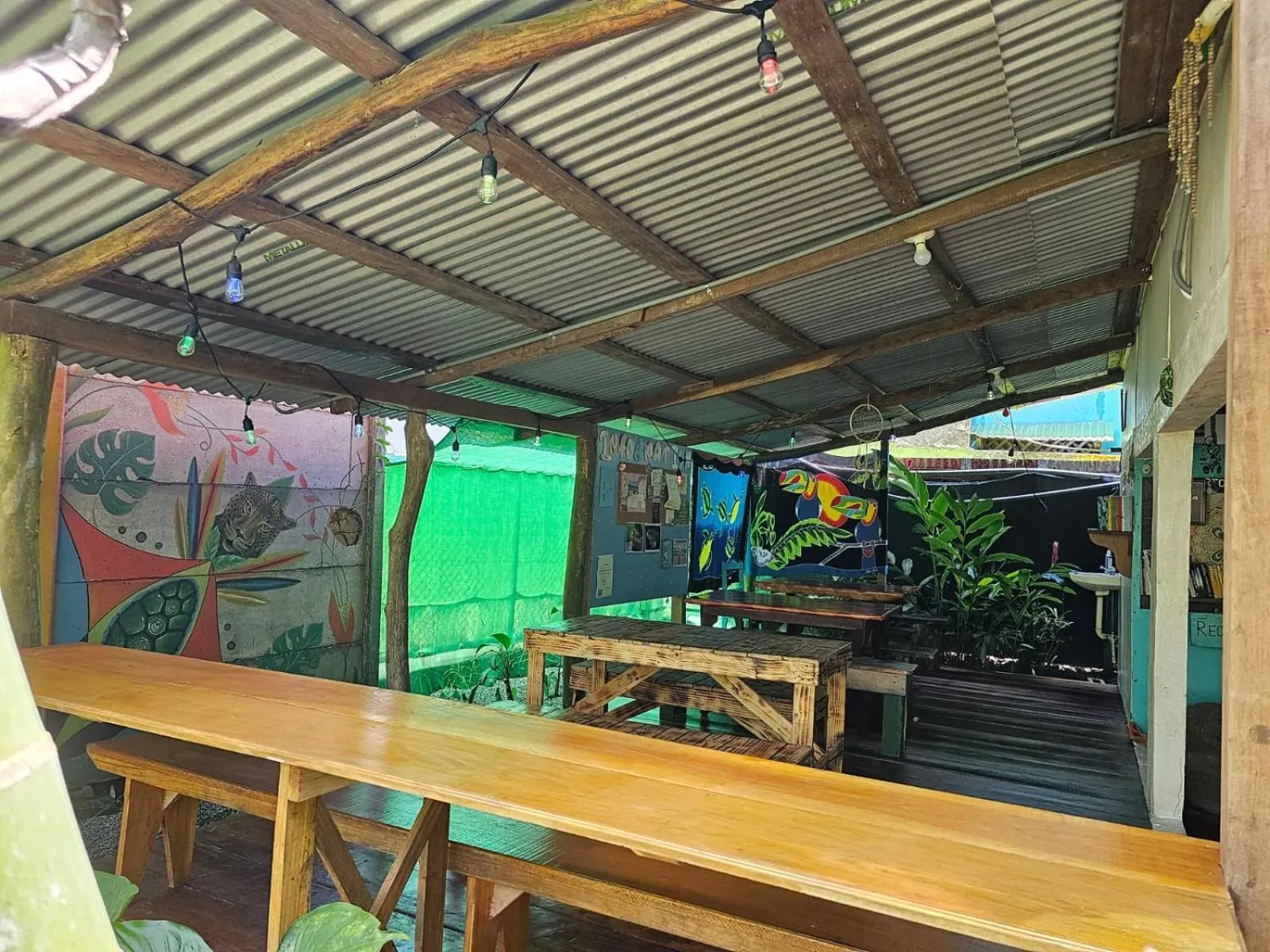 Bird's eye view in Cabinas Tortuguero