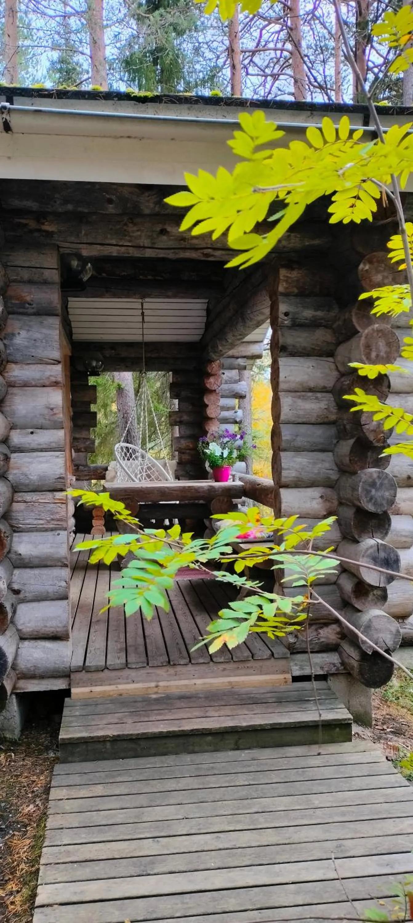 Taigaschool Eco Hotel