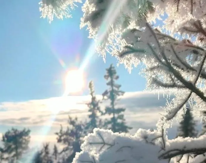 Taigaschool Eco Hotel