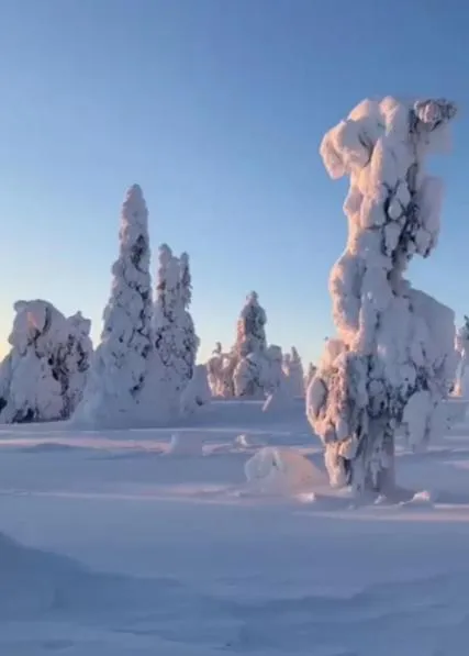 Taigaschool Eco Hotel