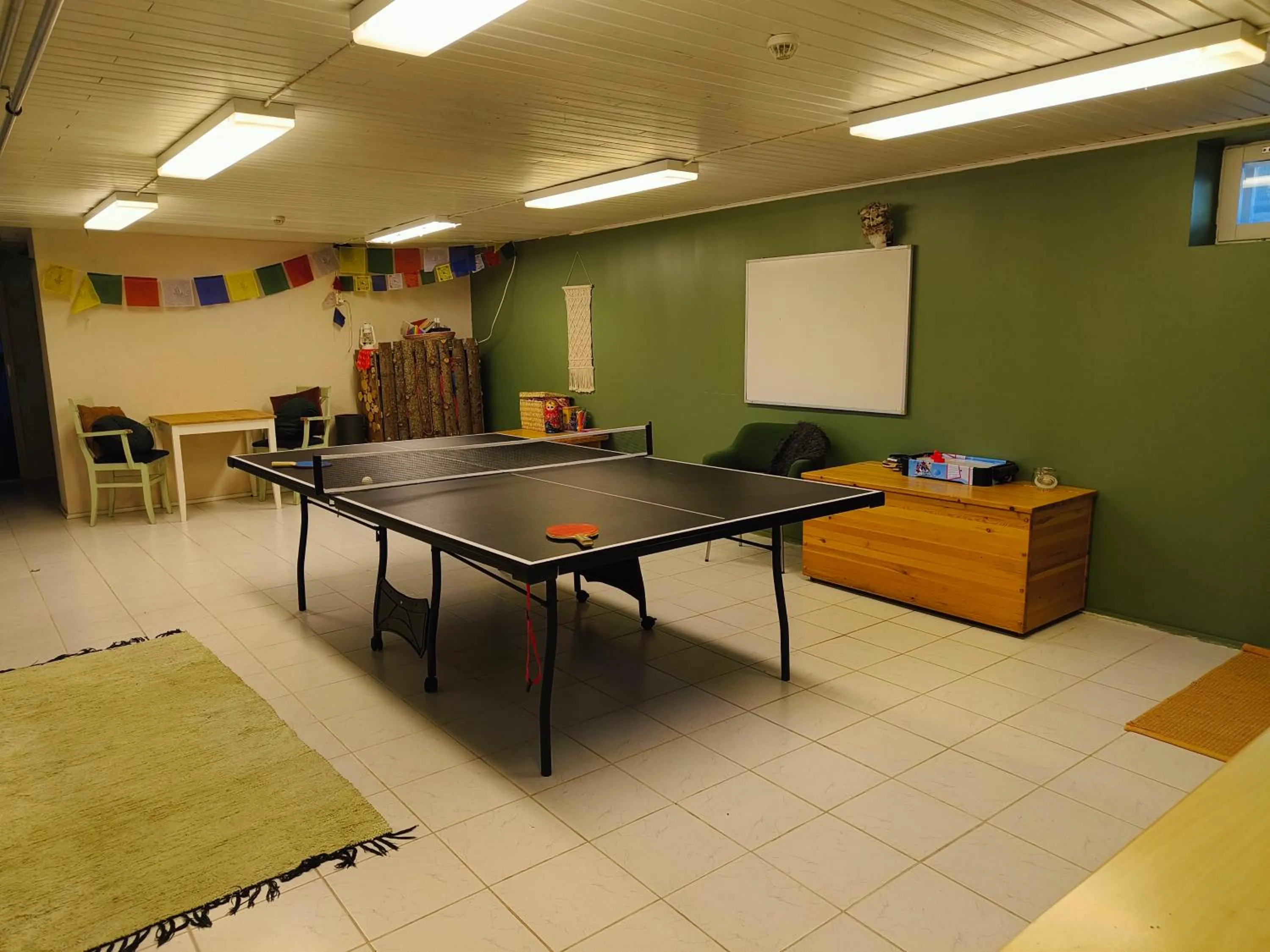 Game Room in Taigaschool Eco Hotel