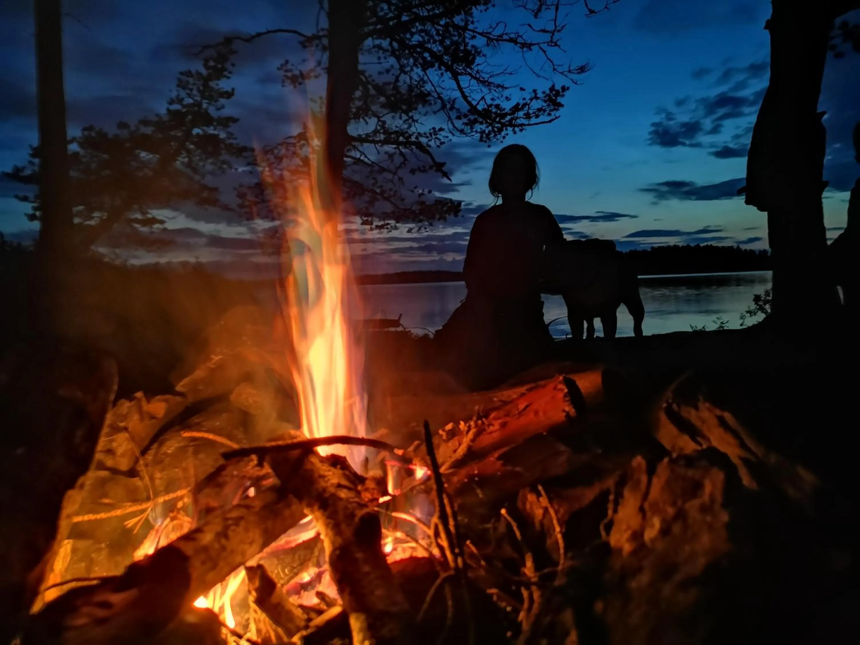 Taigaschool Eco Hotel