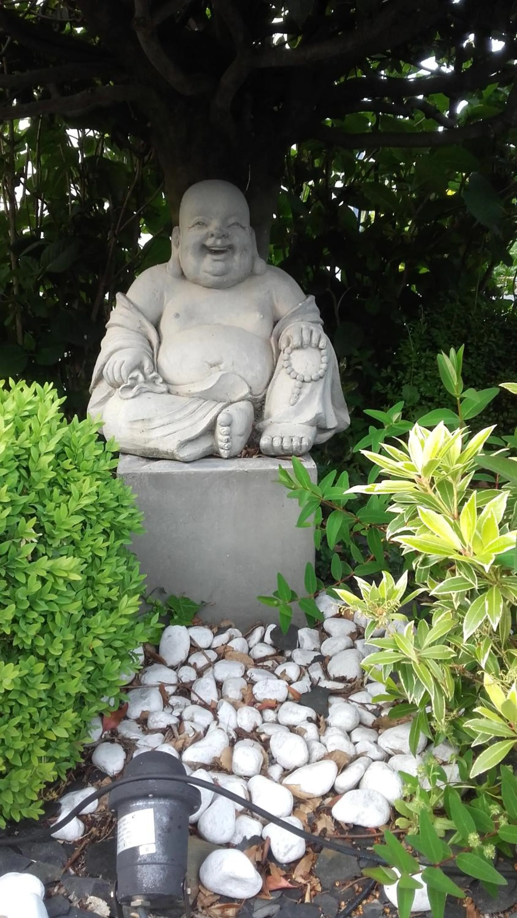 Garden in Contact hôtel - Hôtel Les Bleuets & SPA