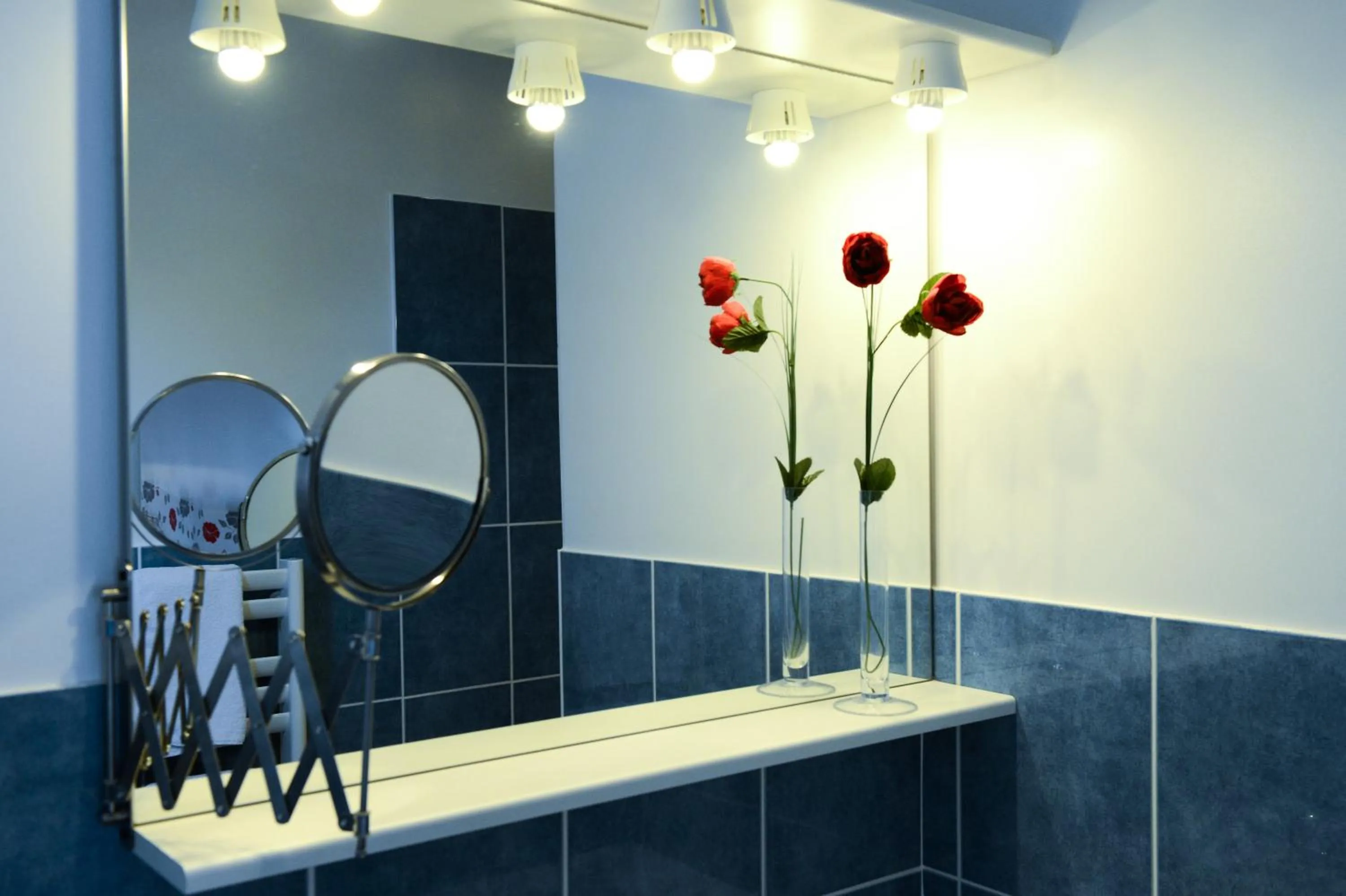 Bathroom in Contact hôtel - Hôtel Les Bleuets & SPA