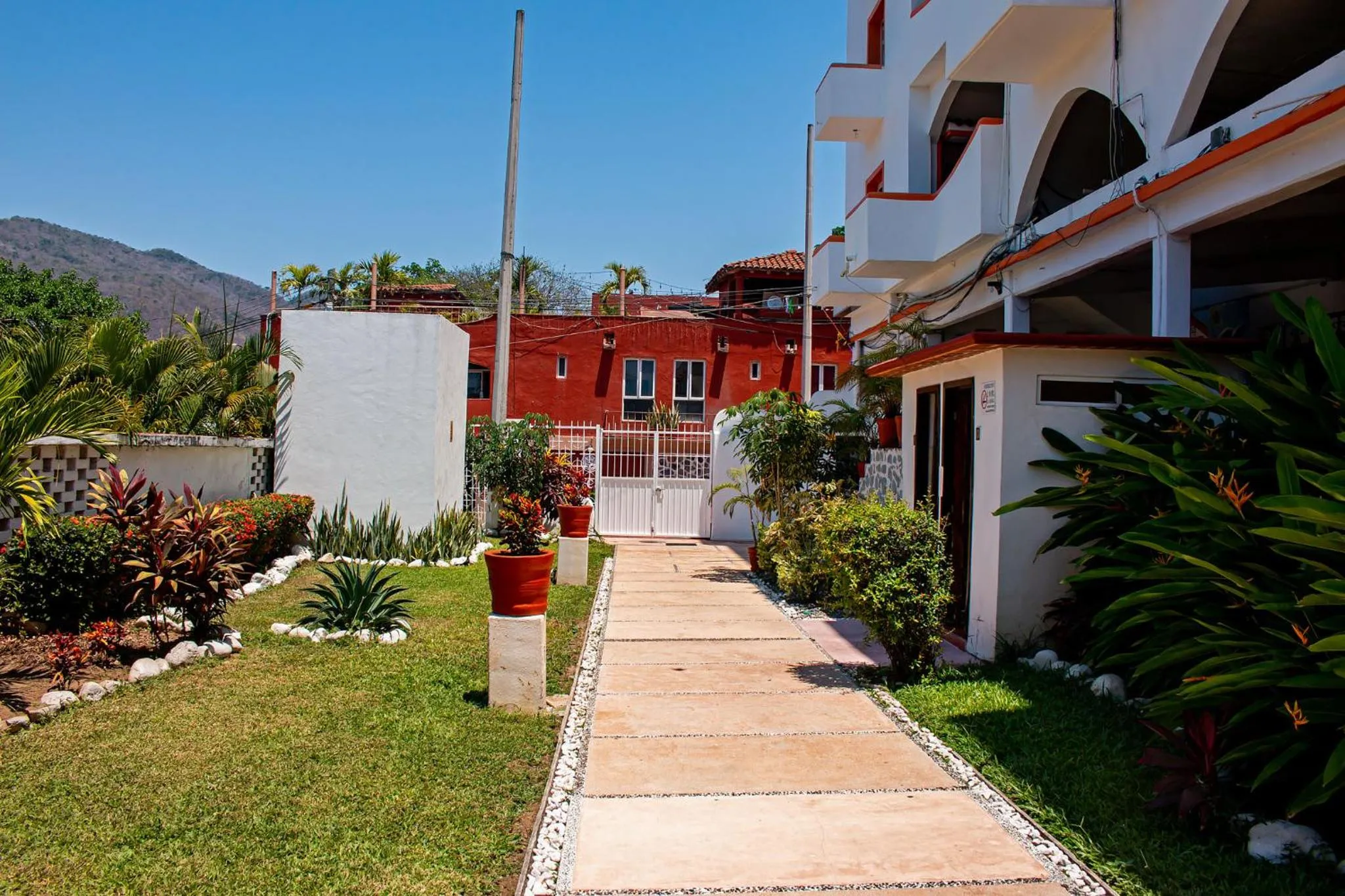 Garden in Hotel Casa Sun and Moon