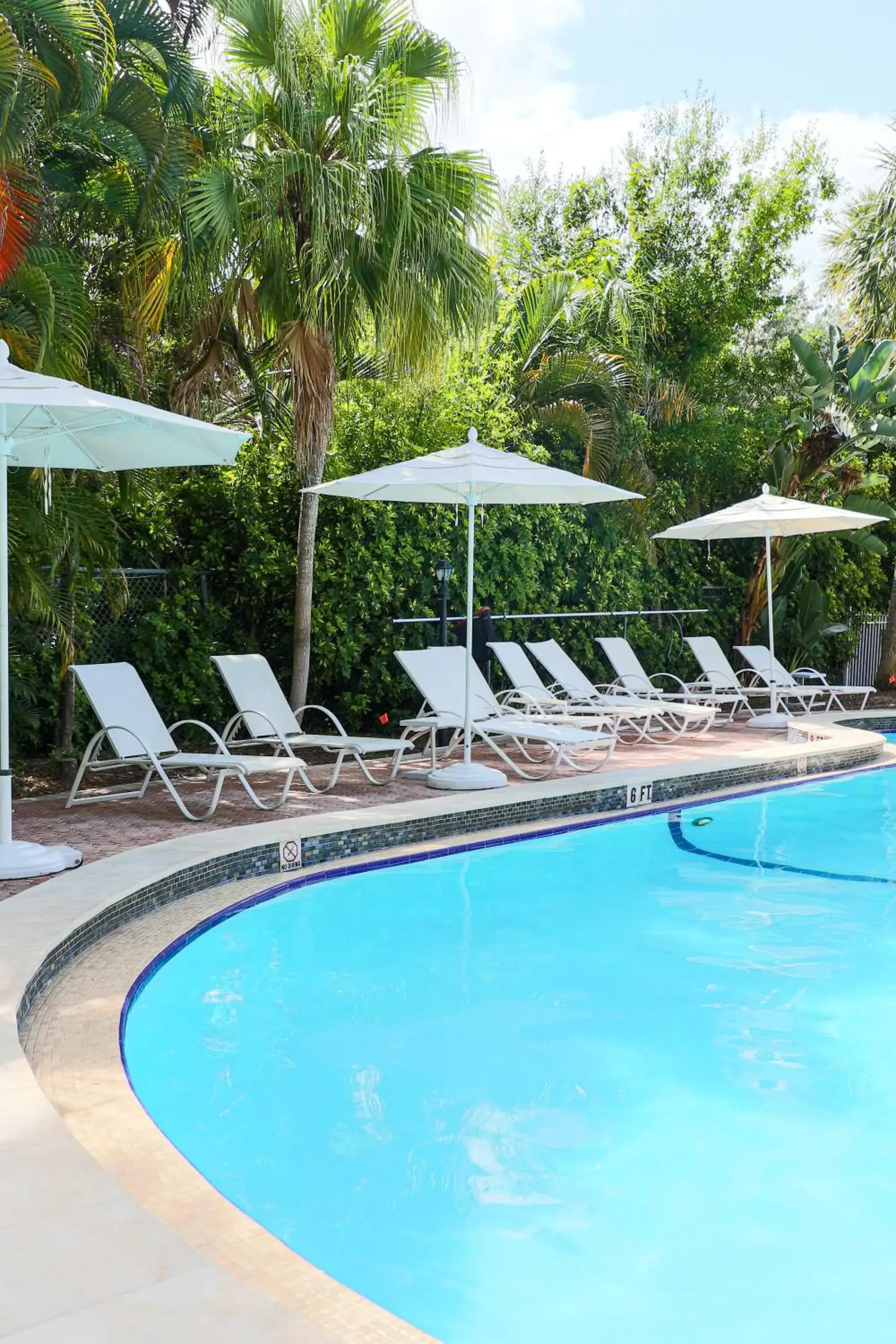 Swimming pool in Riverside Hotel Swimming pool in Riverside Hotel