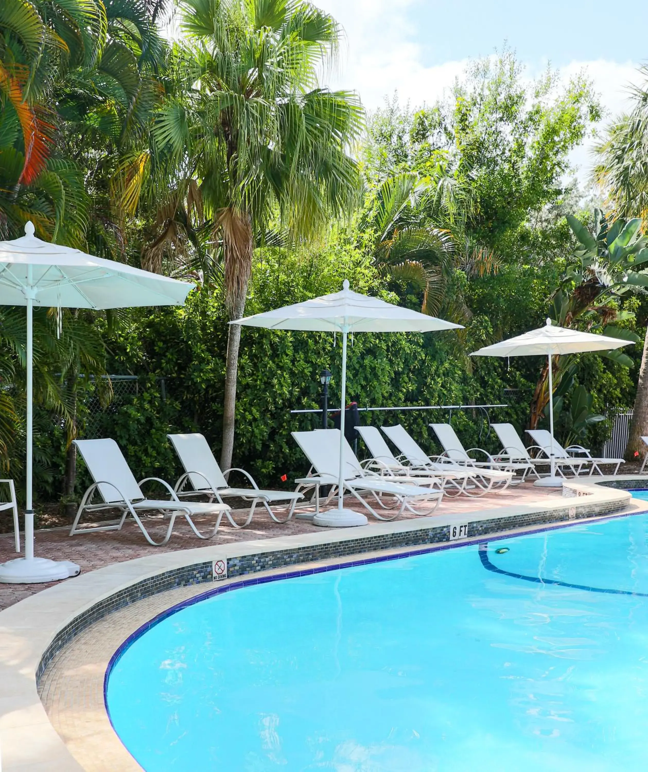Swimming pool in Riverside Hotel Swimming pool in Riverside Hotel