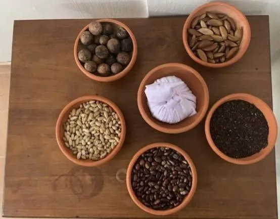 Spa and wellness centre/facilities in Hotel Mango Garden