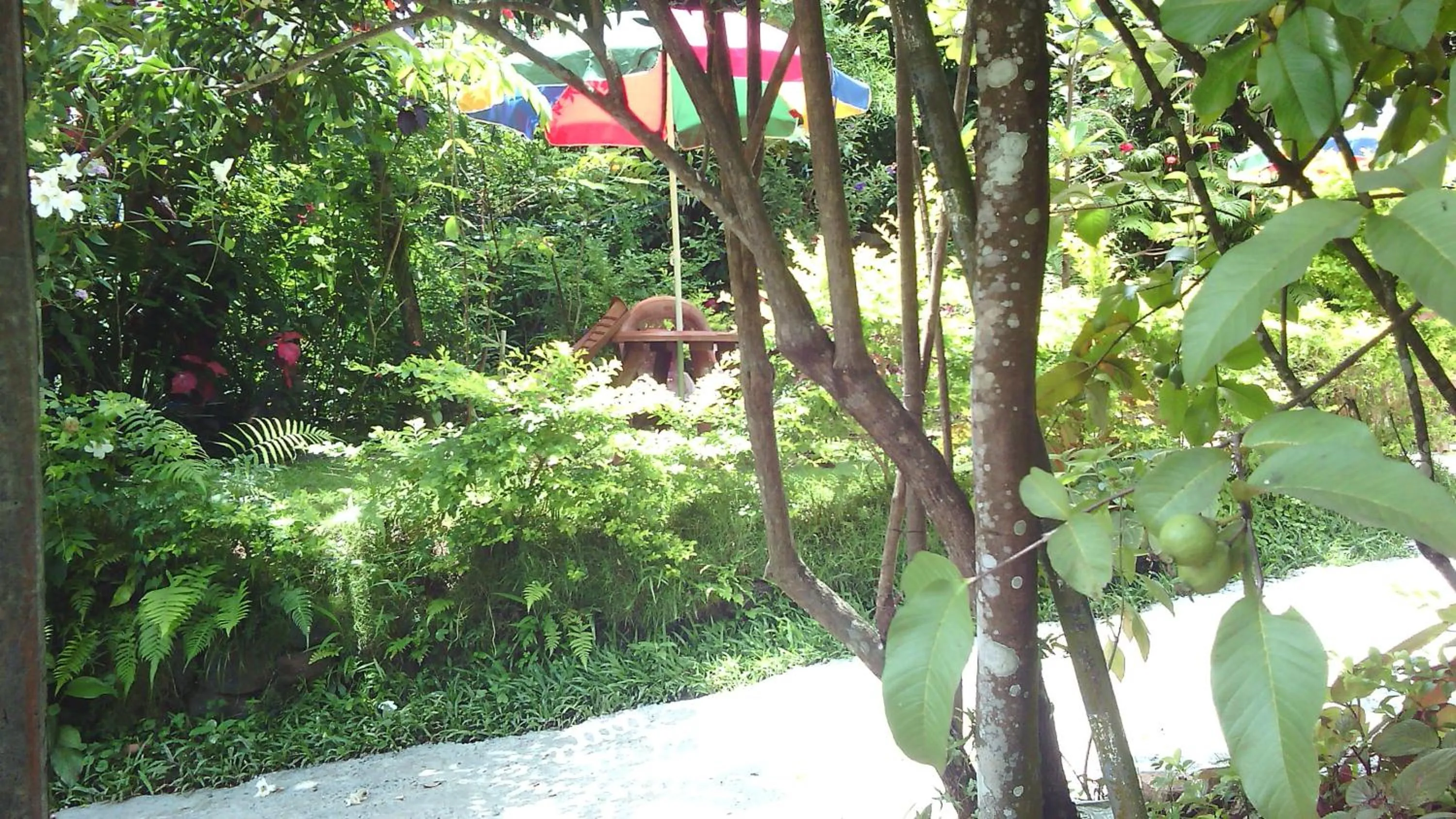 Garden view in Haniffas Holiday Inn