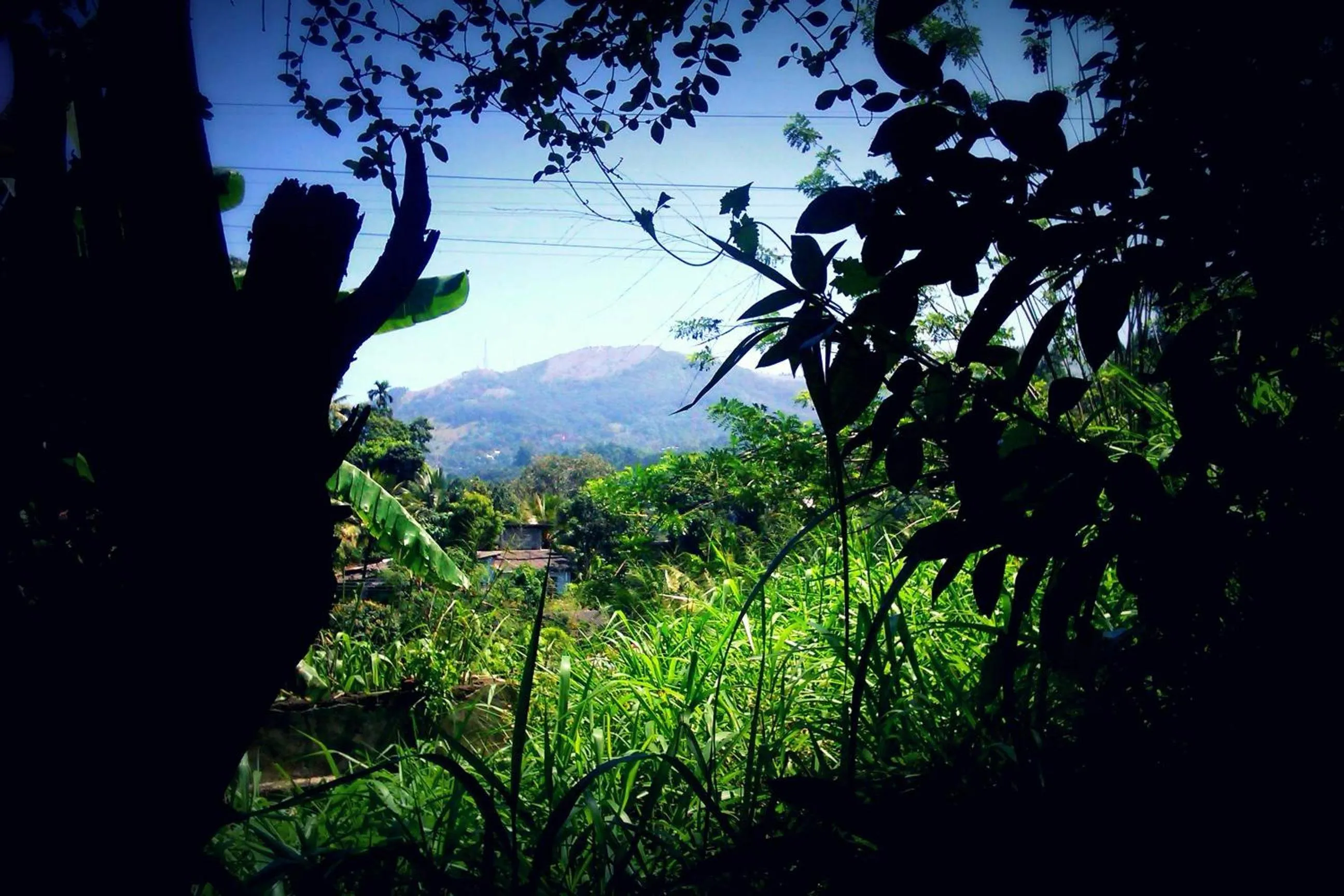 Mountain view in Haniffas Holiday Inn