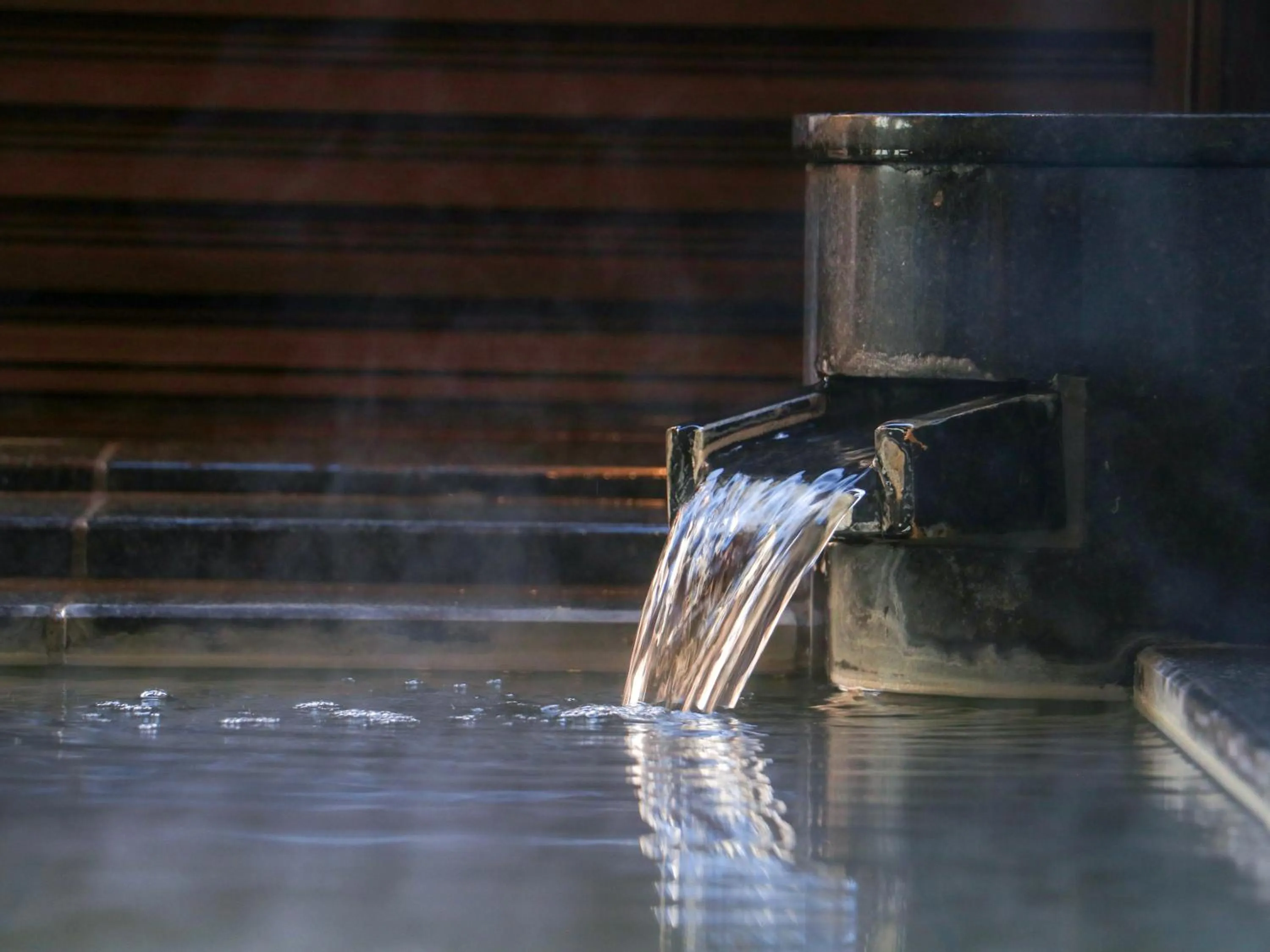 Hot Spring Bath in Toeikan
