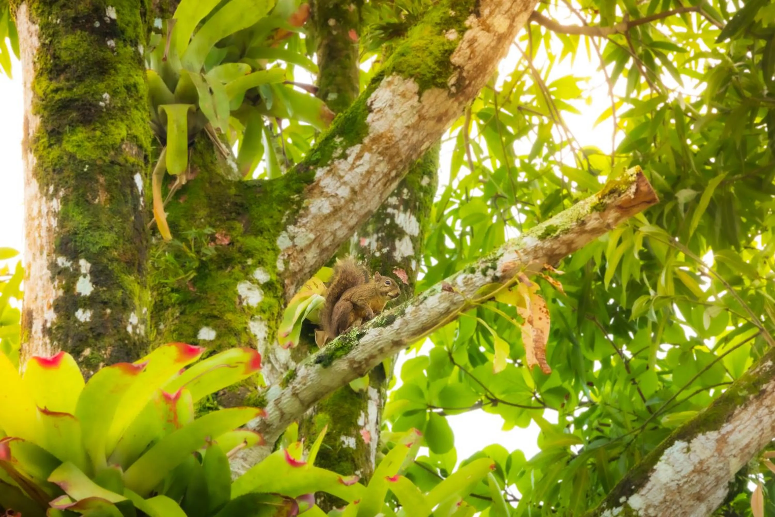 Natural landscape in Raio de Sol pousada & camping