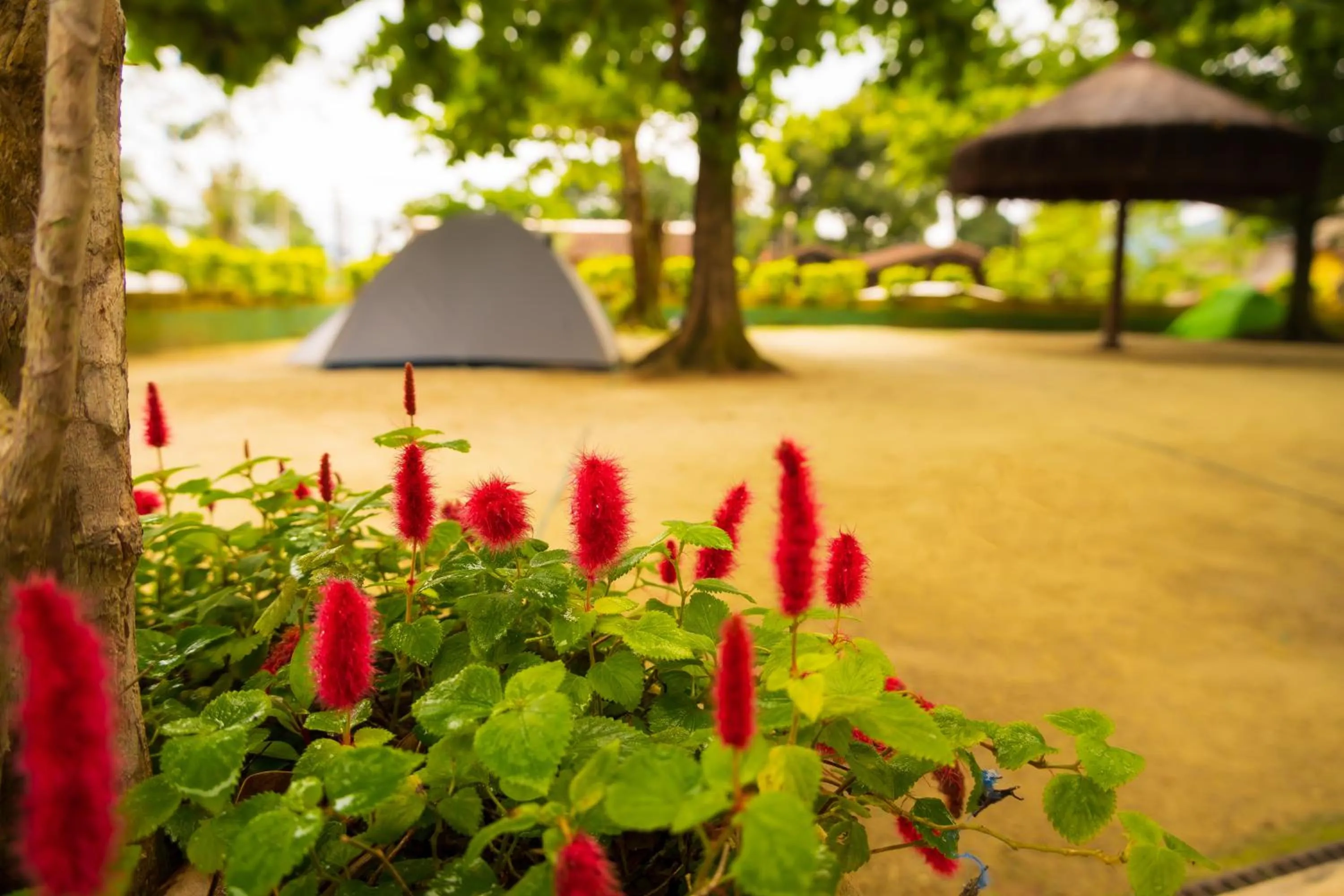 Spring in Raio de Sol pousada & camping