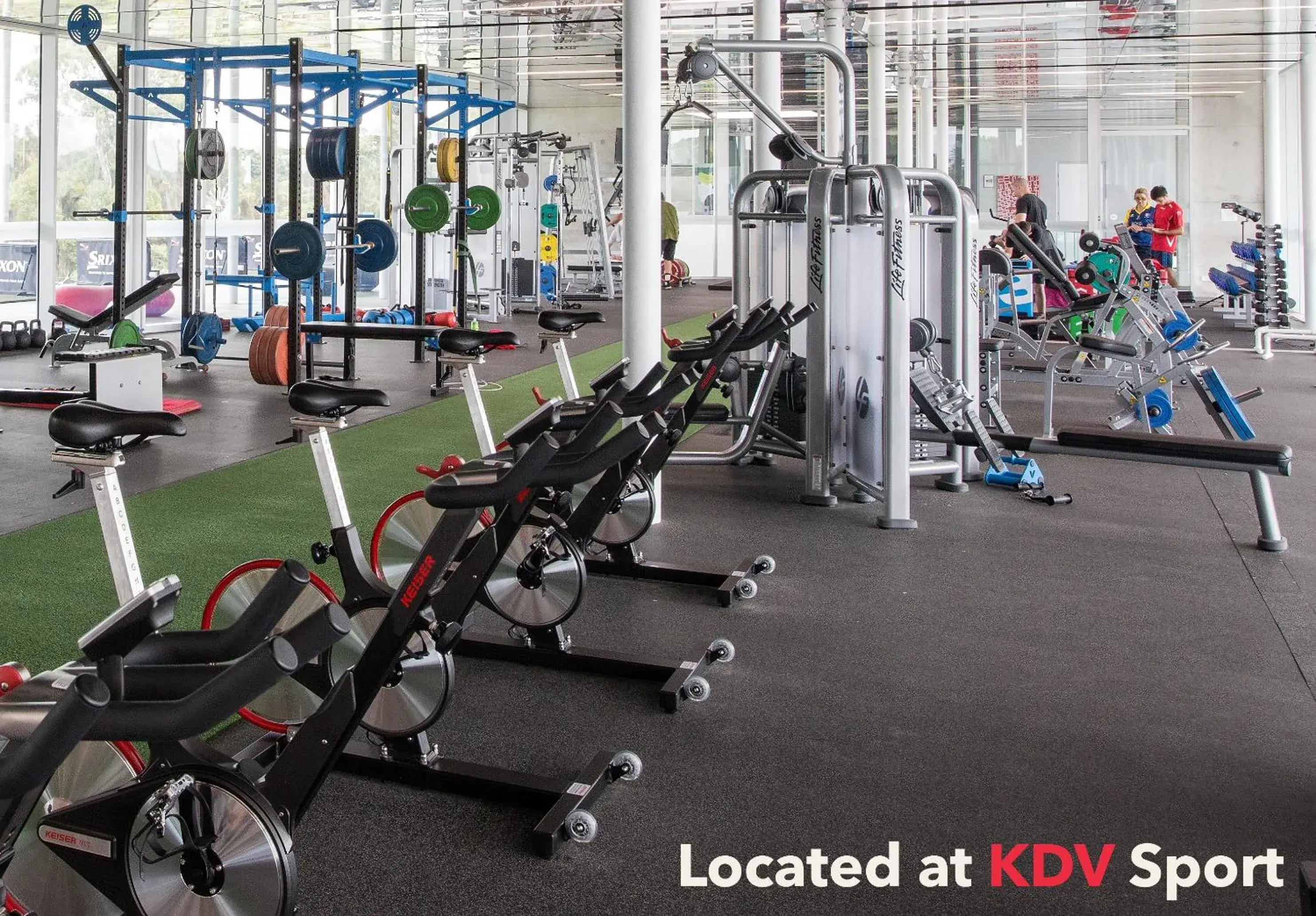 Fitness centre/facilities in Elite Gold Coast Fitness centre/facilities in Elite Gold Coast