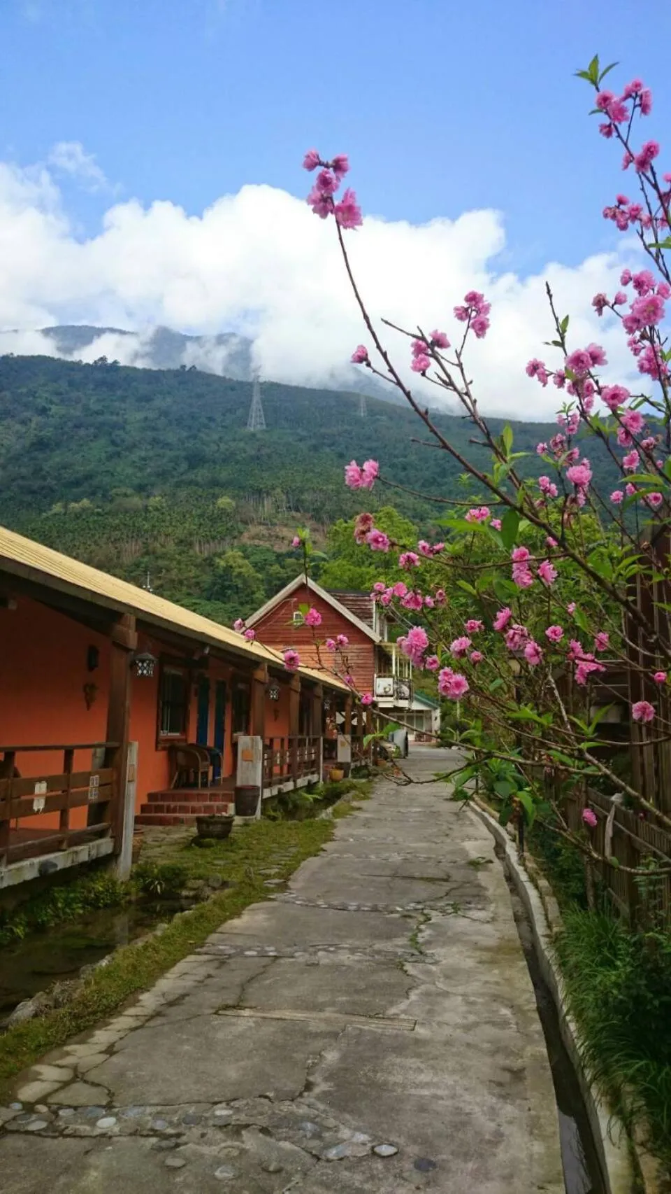 Monet Garden Coffee Farm