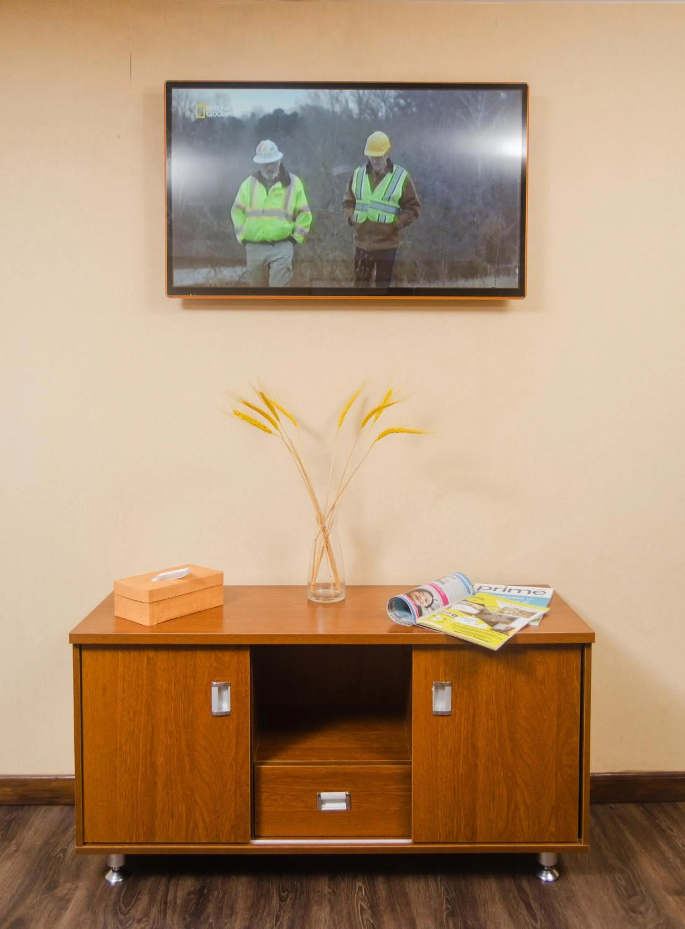 TV and multimedia in Hotel Le Pousse Pousse