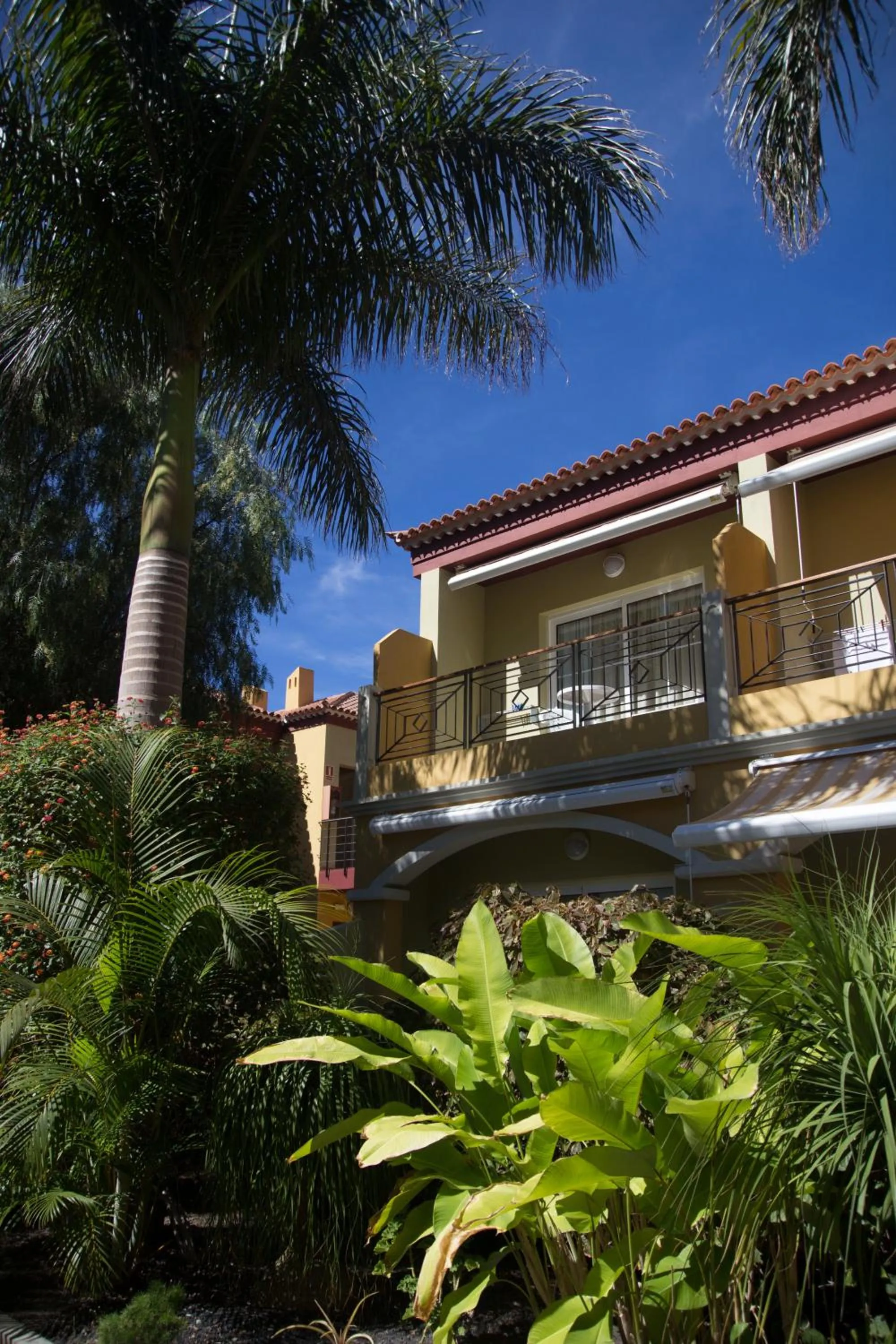 Swimming pool in Residencial El Llano