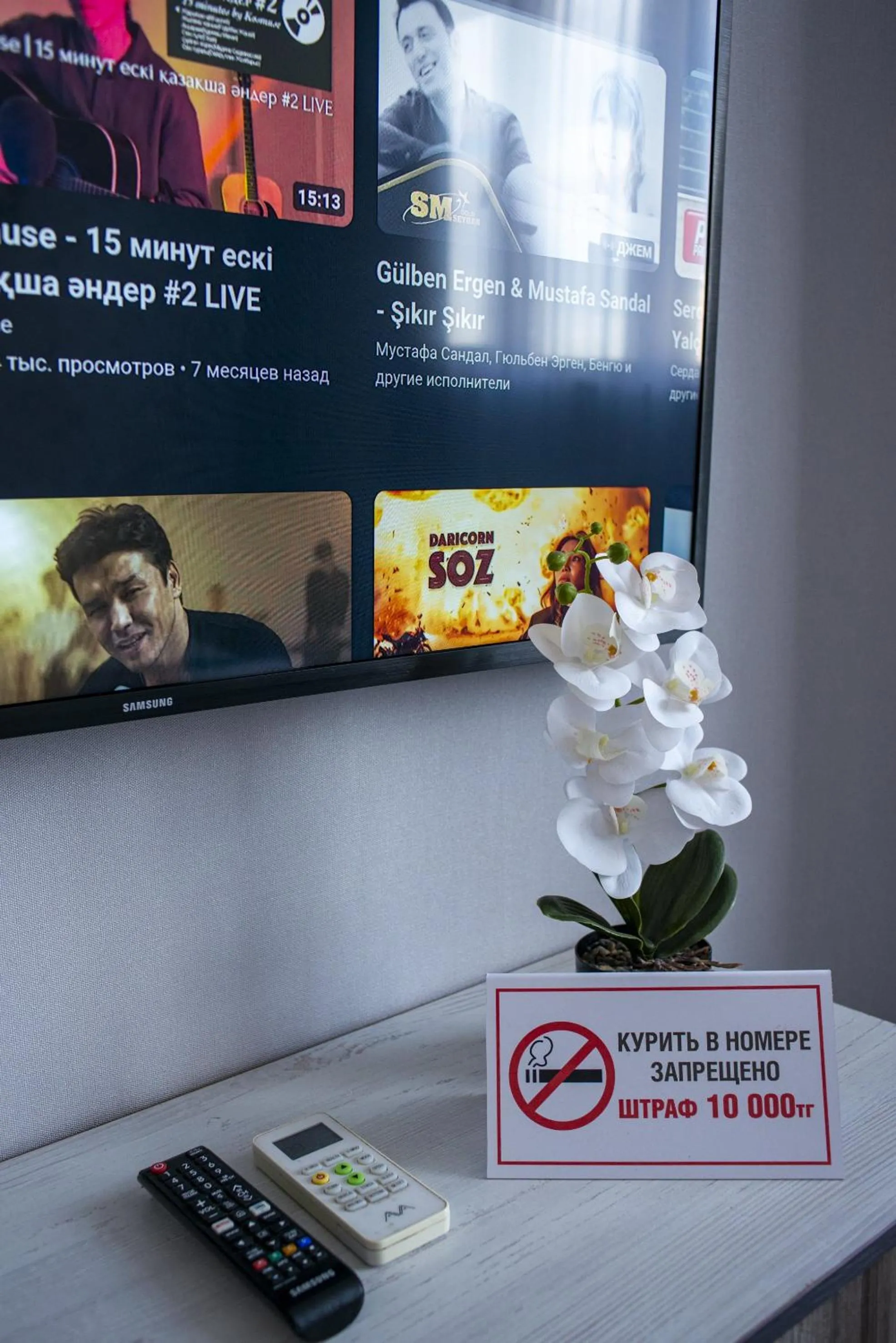 TV and multimedia in Tarlan Hotel